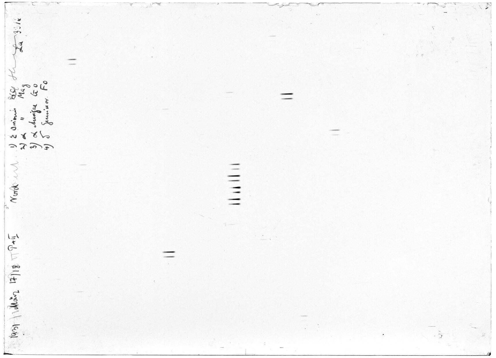 Scan LA03316