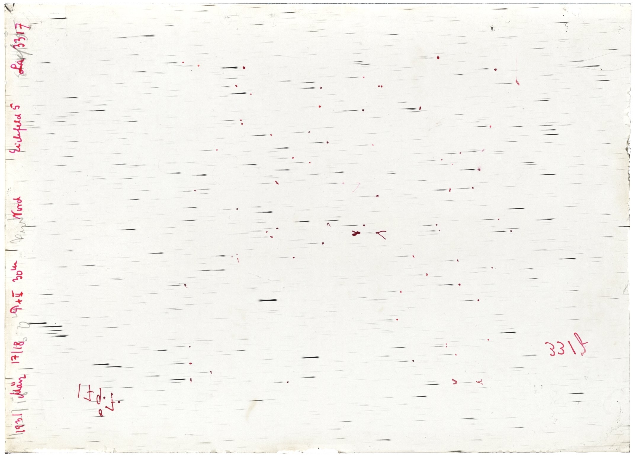Scan LA03317