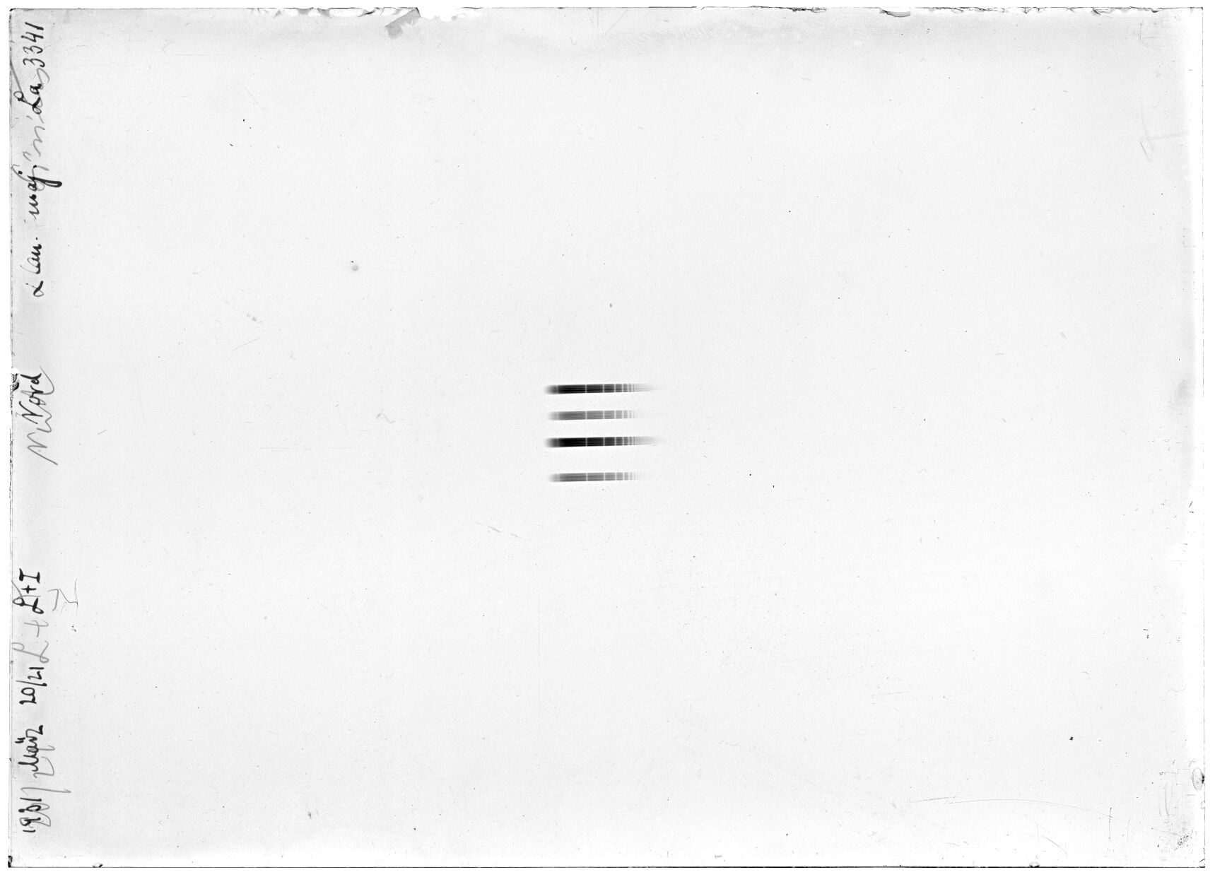 Scan LA03341