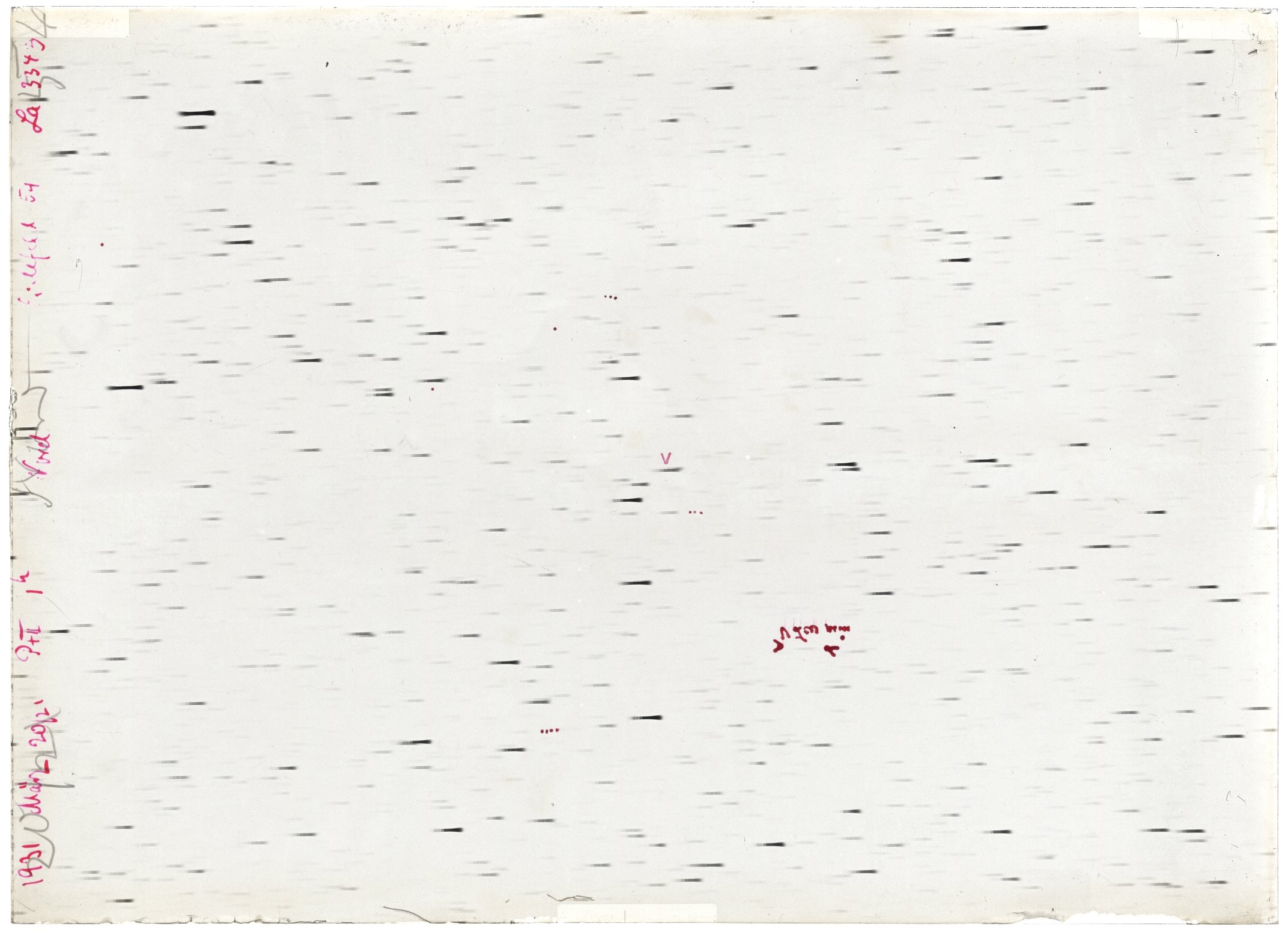 Scan LA03343