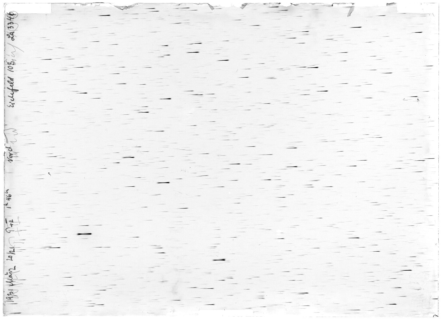 Scan LA03346