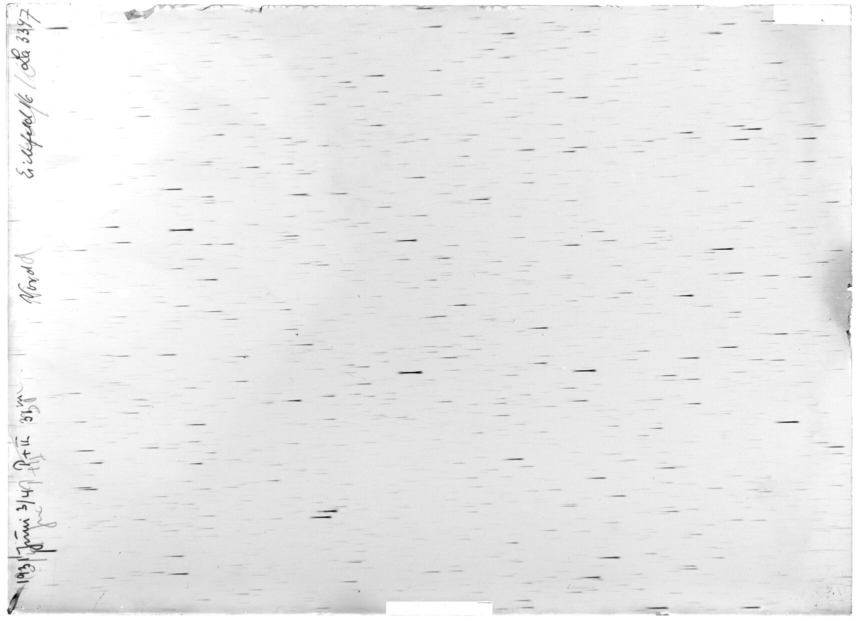 Scan LA03397
