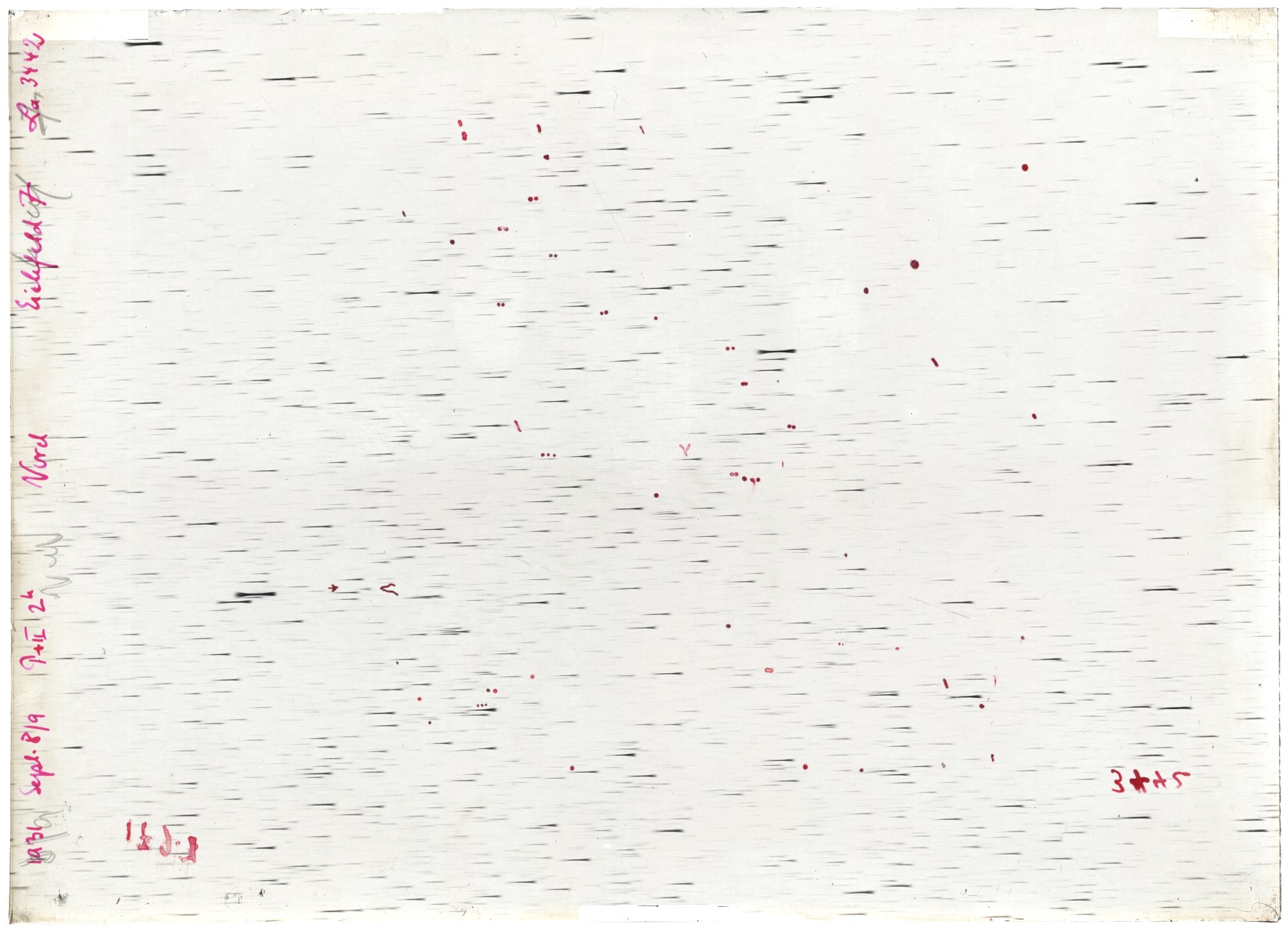 Scan LA03442