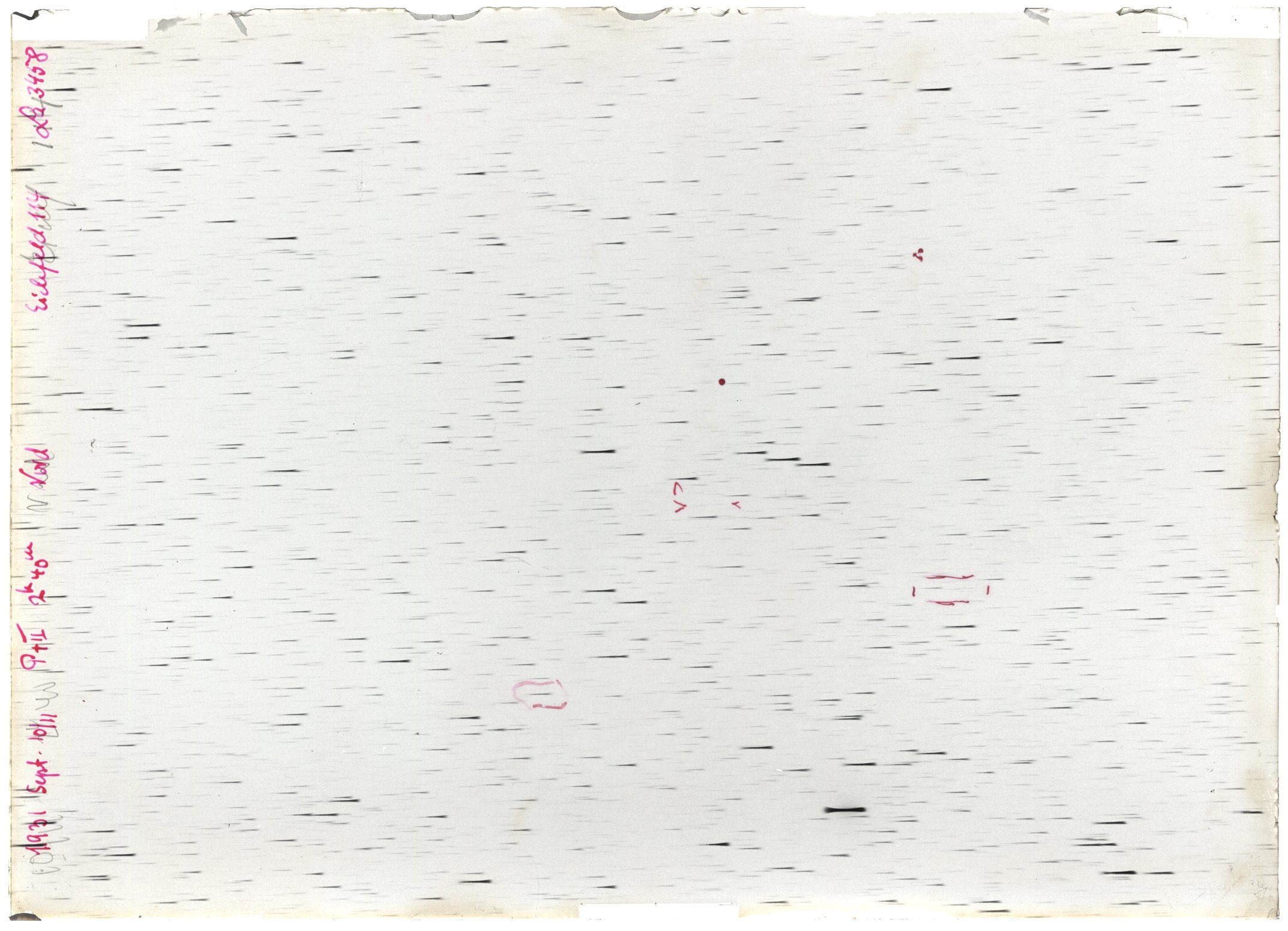 Scan LA03458