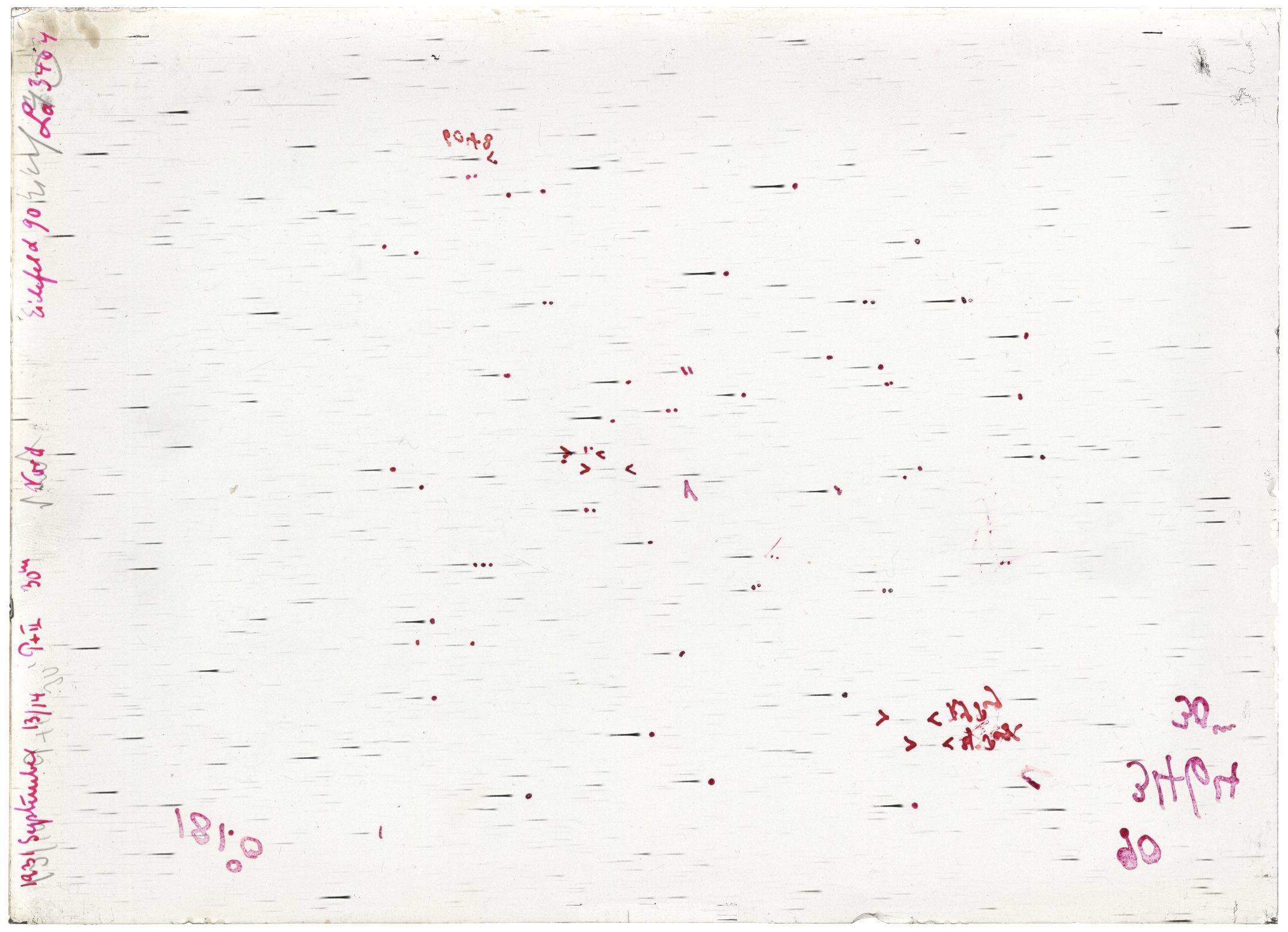 Scan LA03464