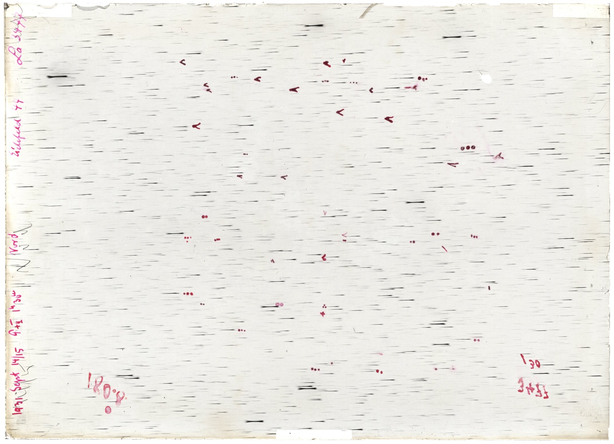 Scan LA03477