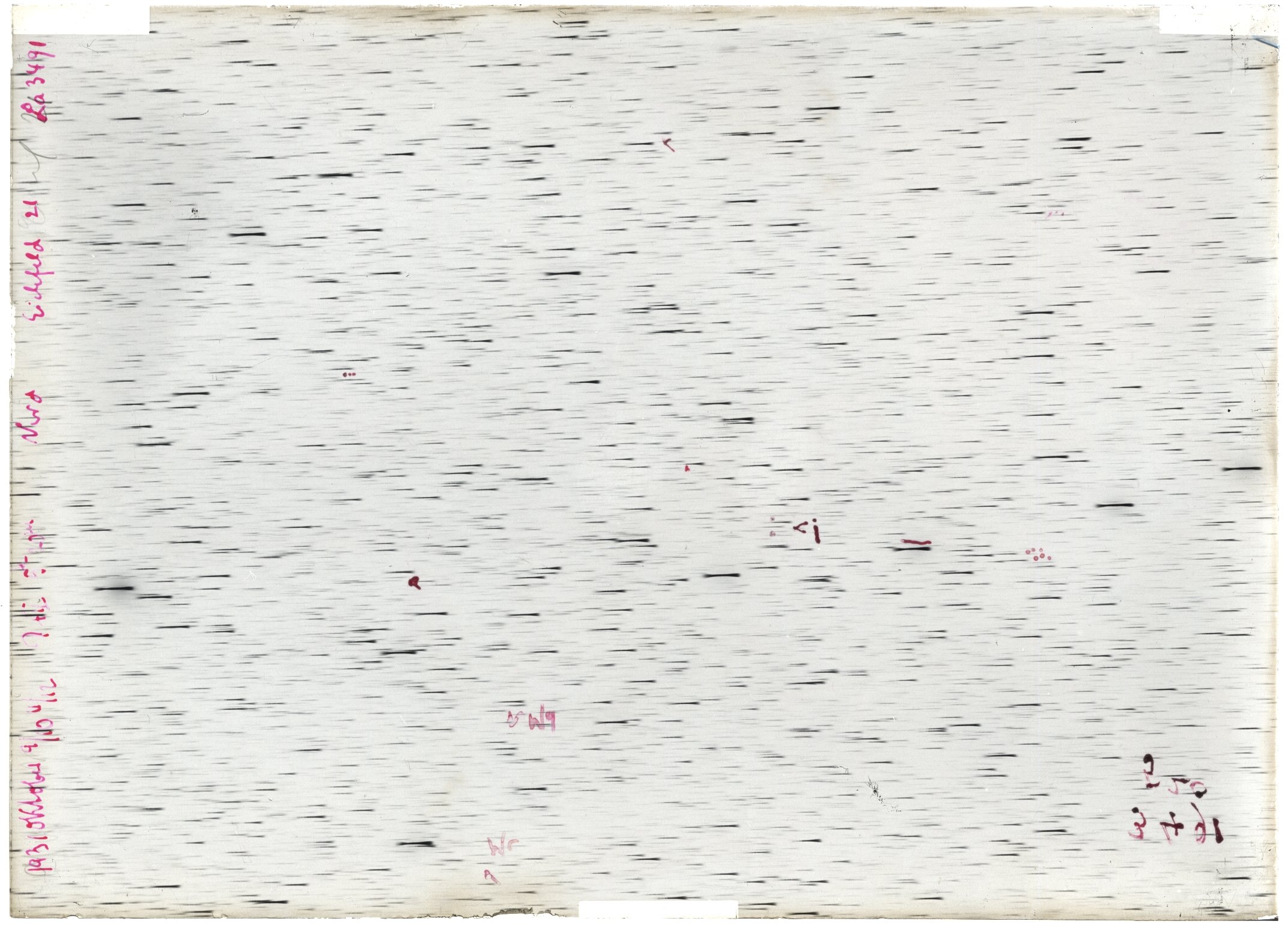 Scan LA03491