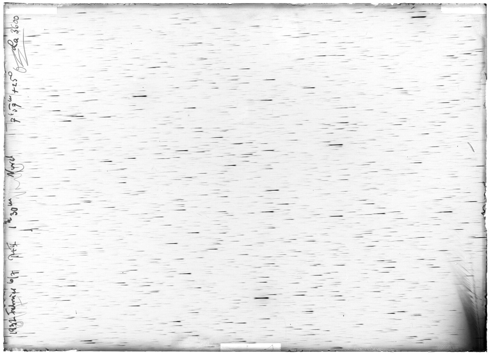 Scan LA03600