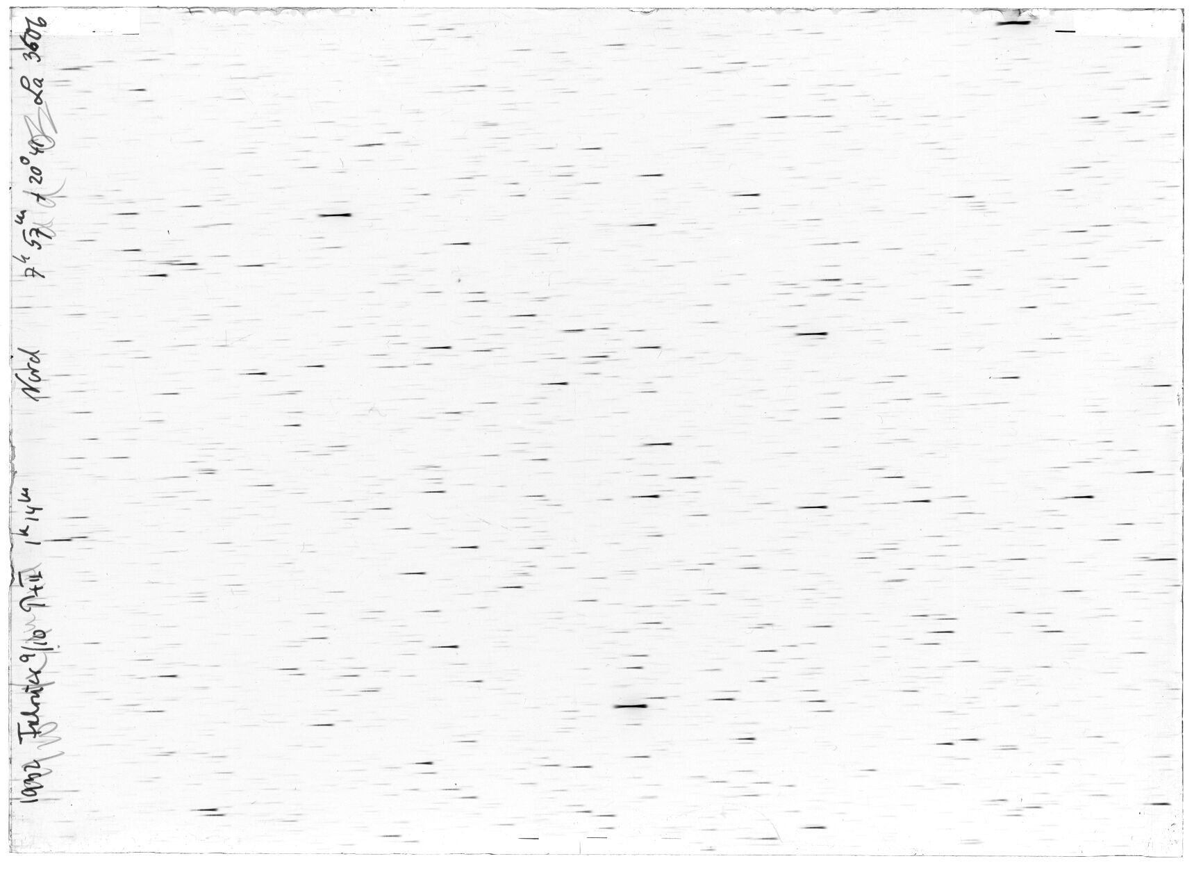 Scan LA03606