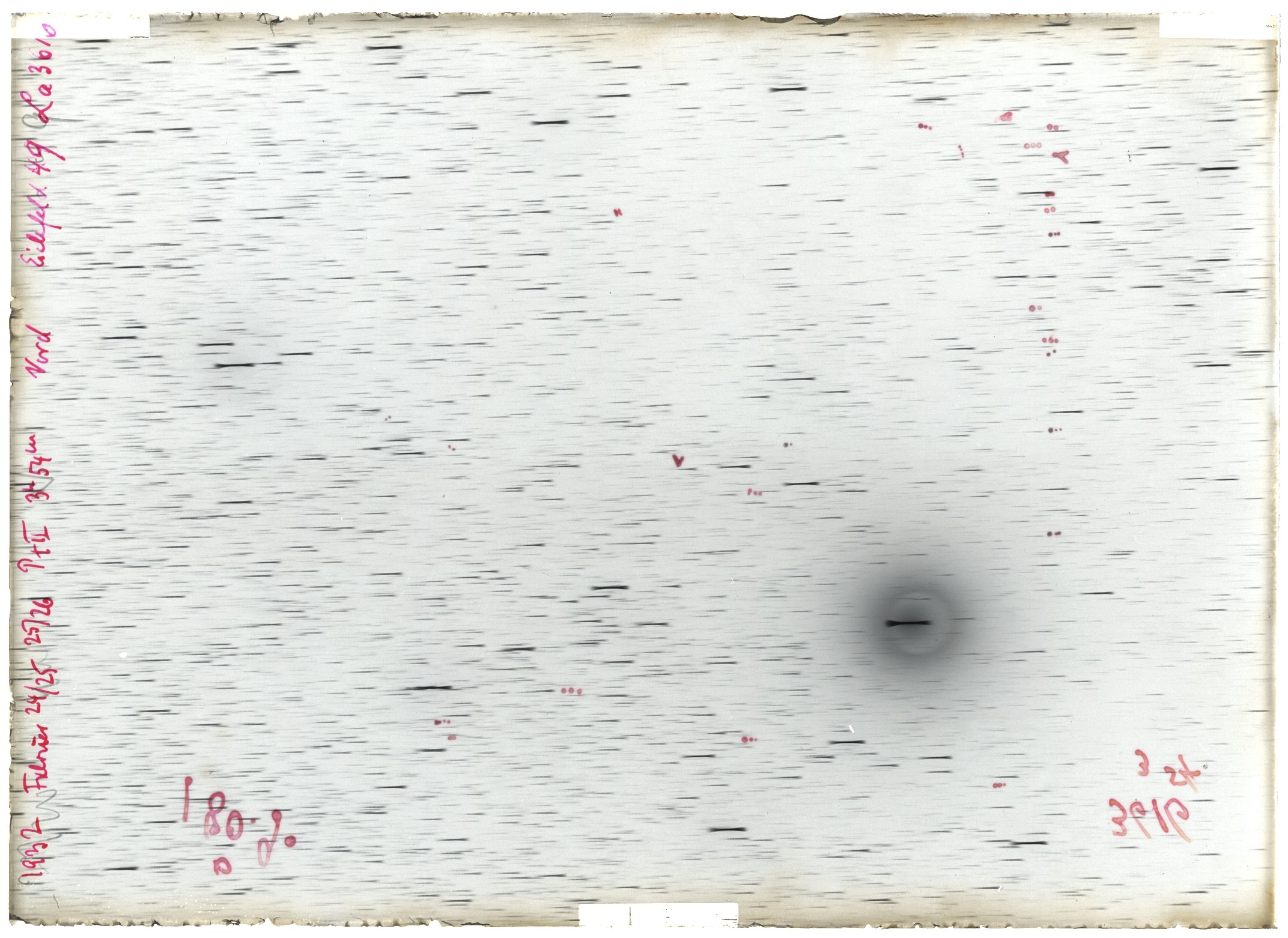 Scan LA03616