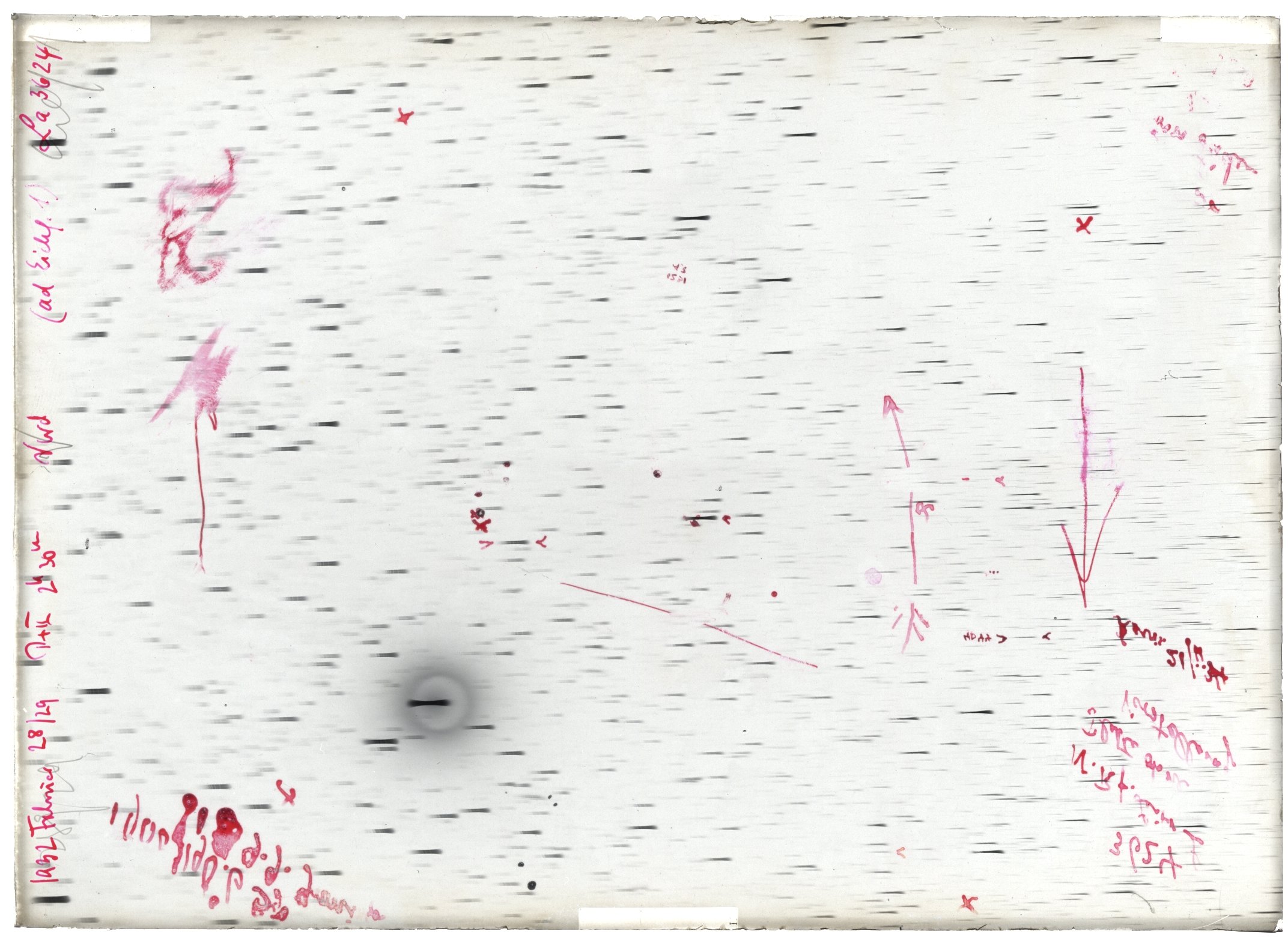 Scan LA03624
