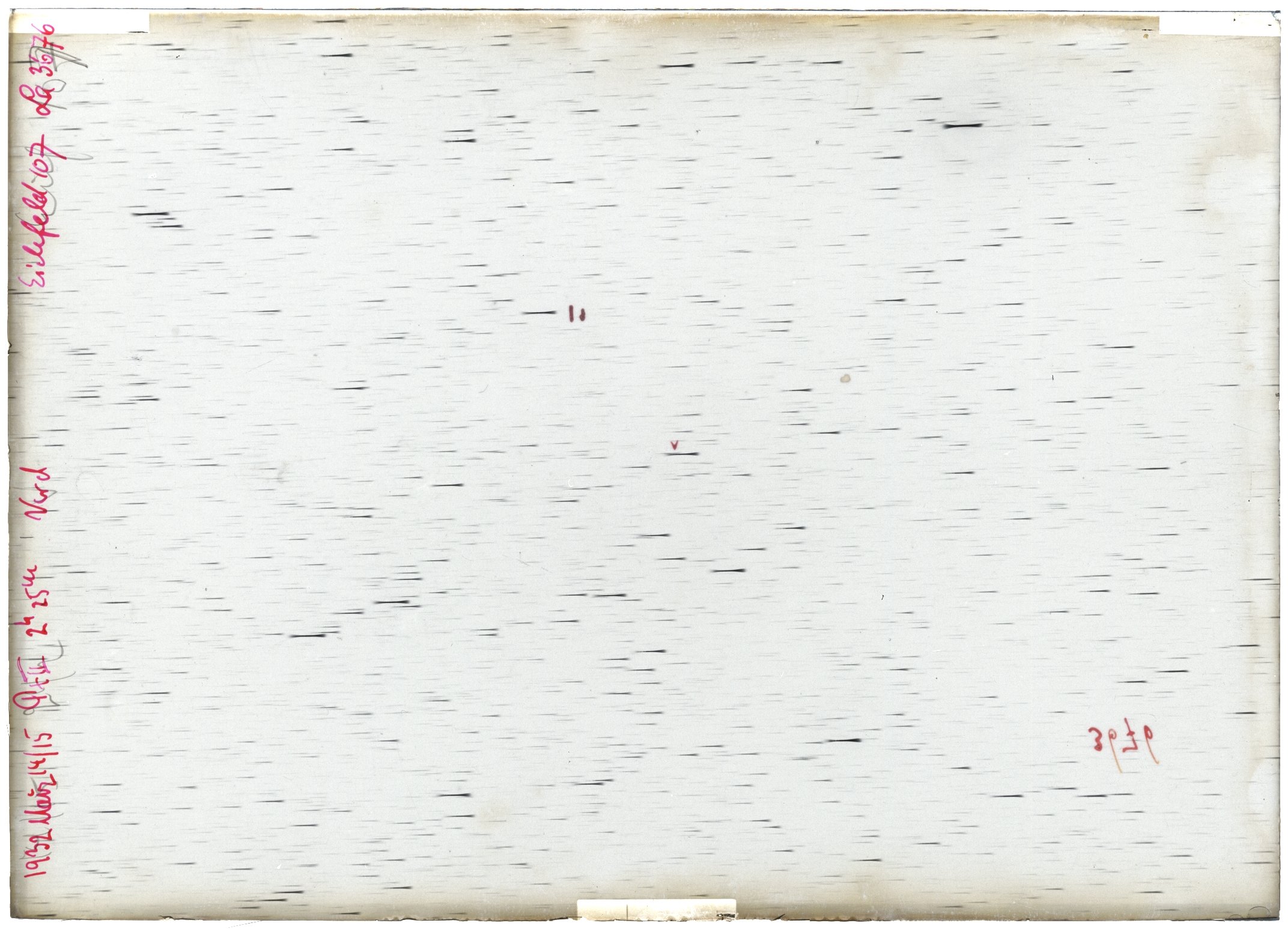 Scan LA03676