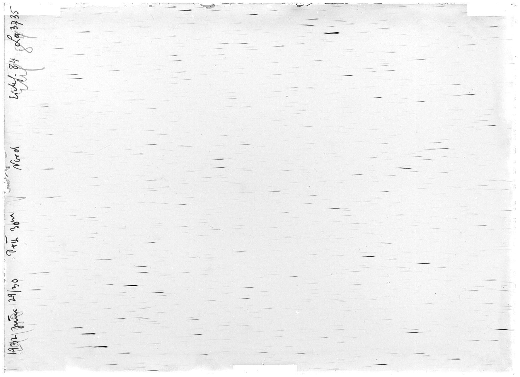Scan LA03735