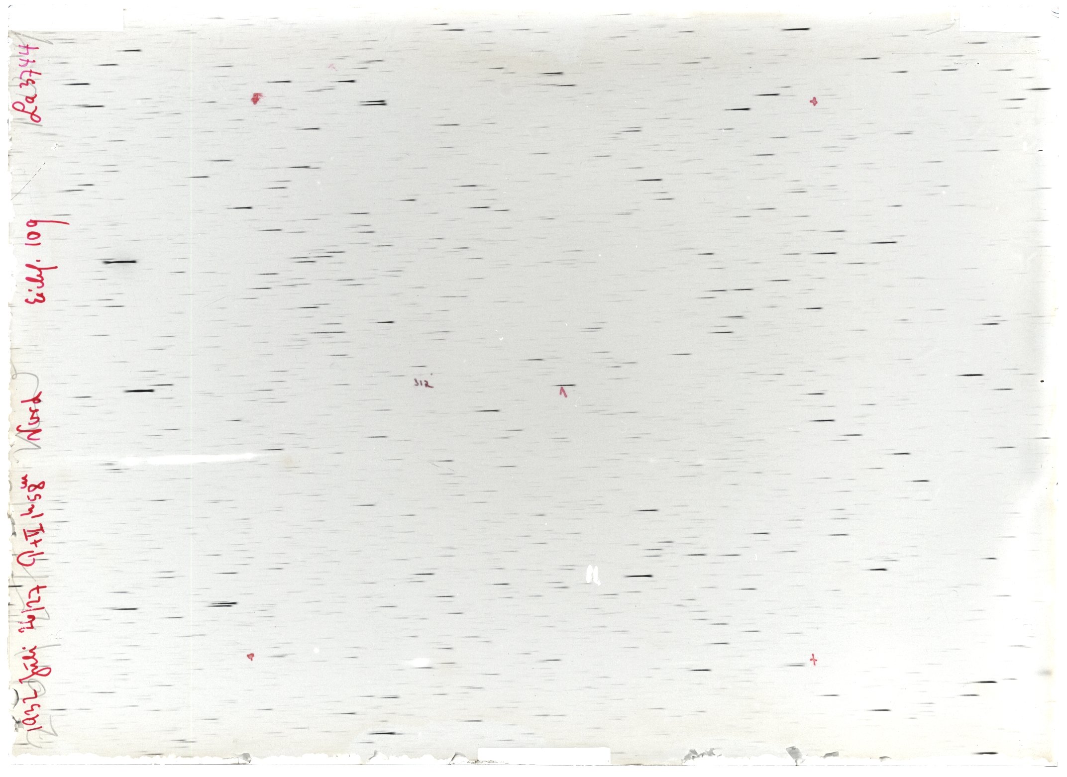 Scan LA03744