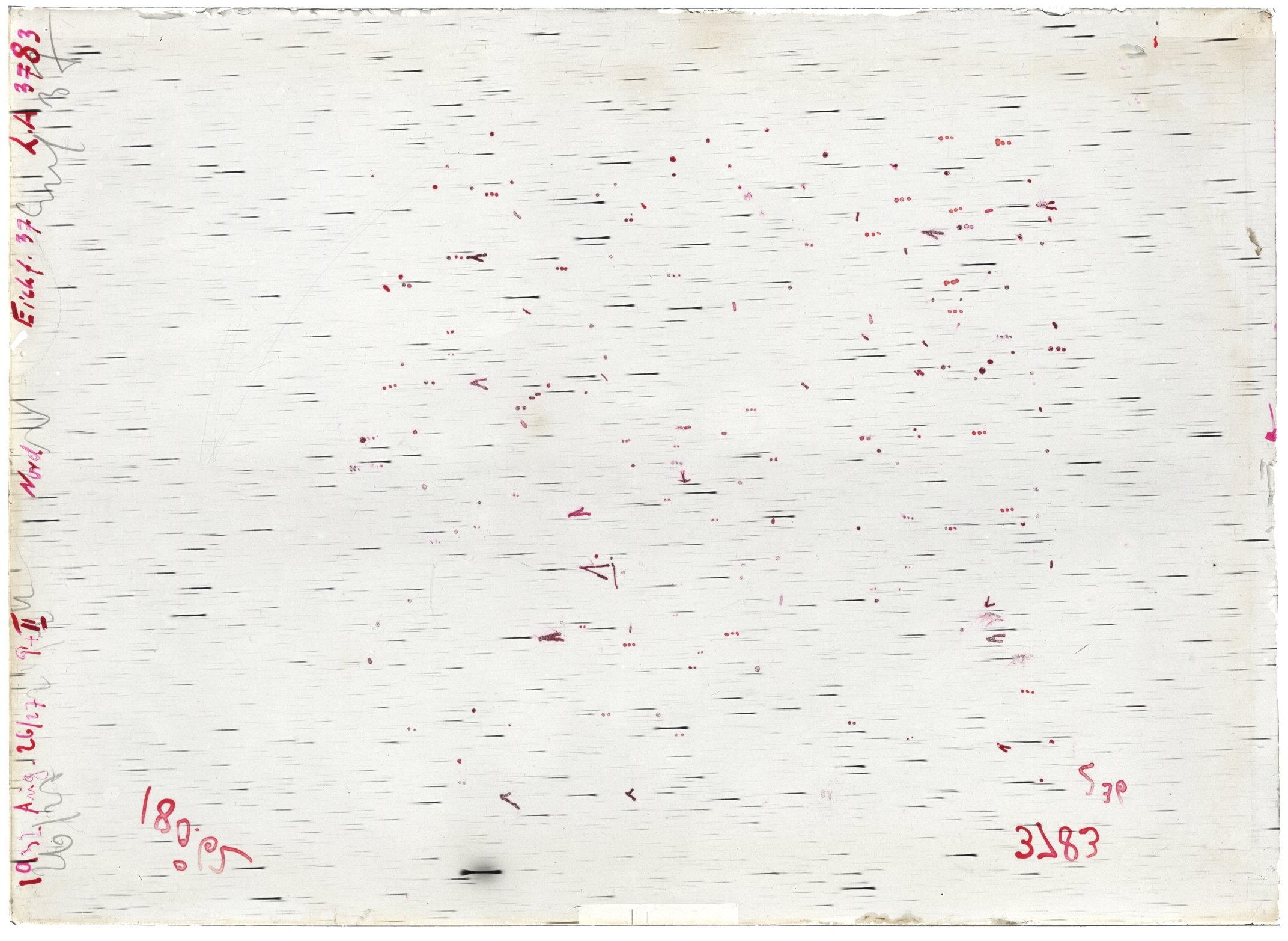 Scan LA03783