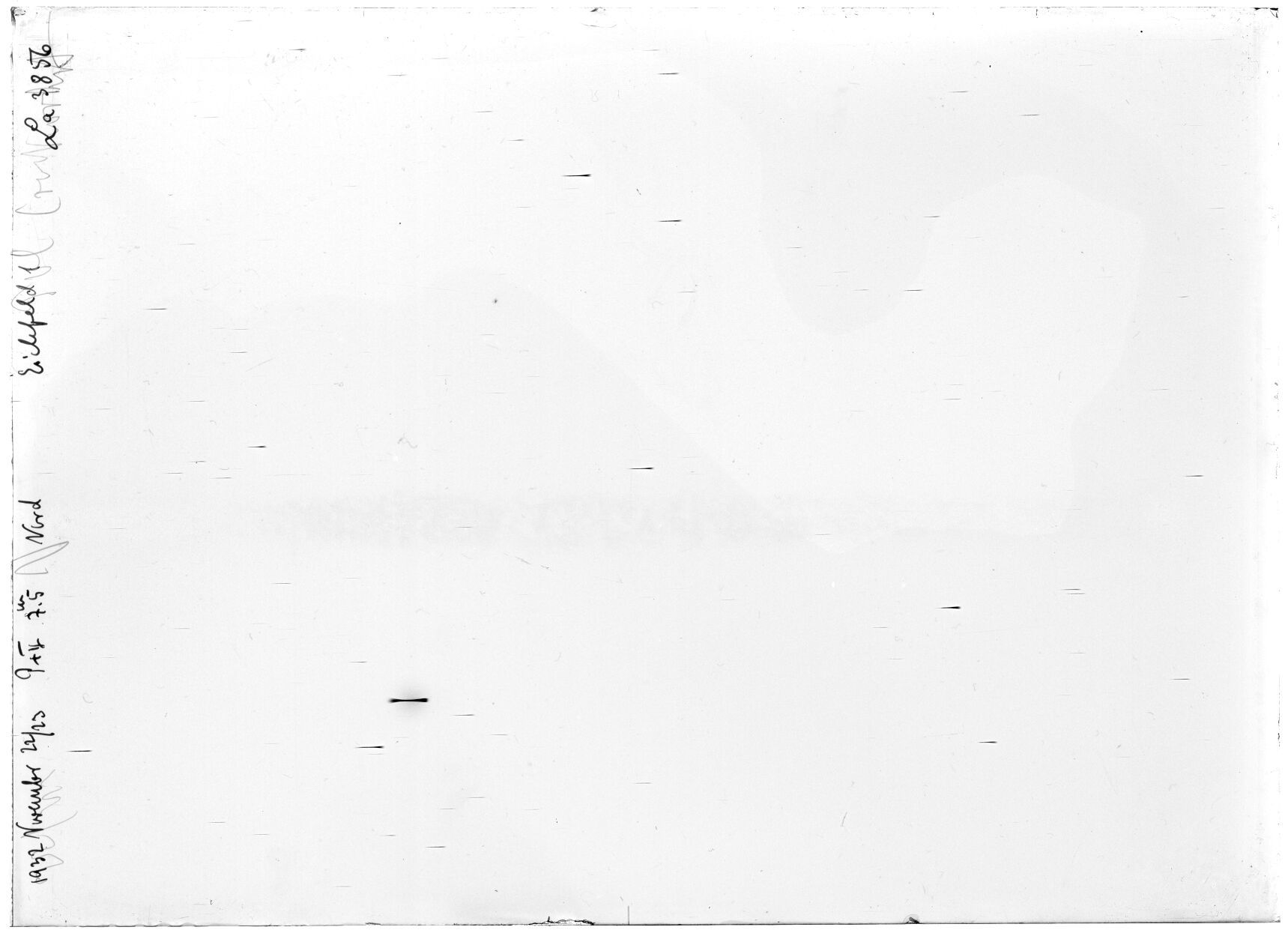 Scan LA03856