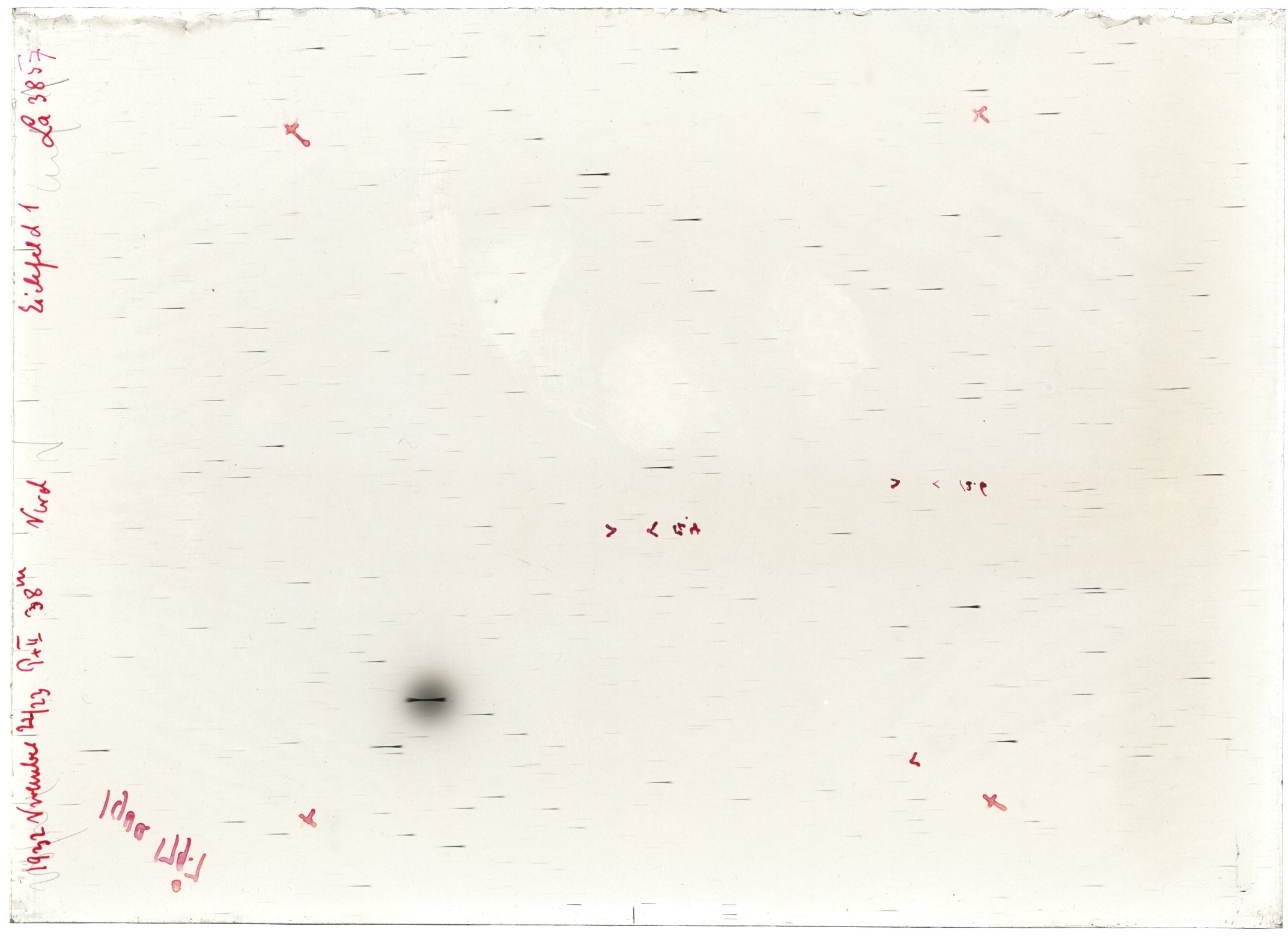 Scan LA03857