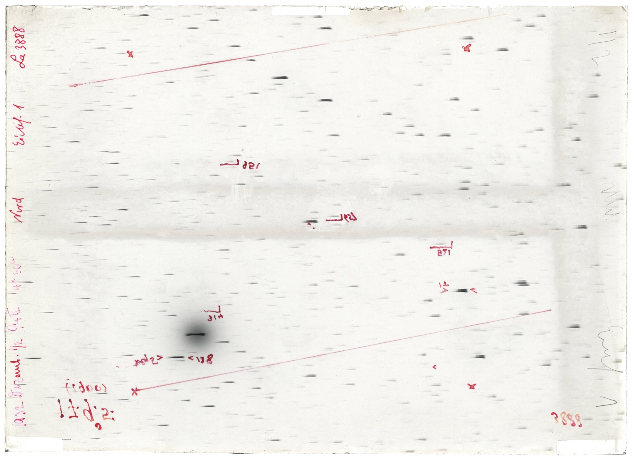 Scan LA03888