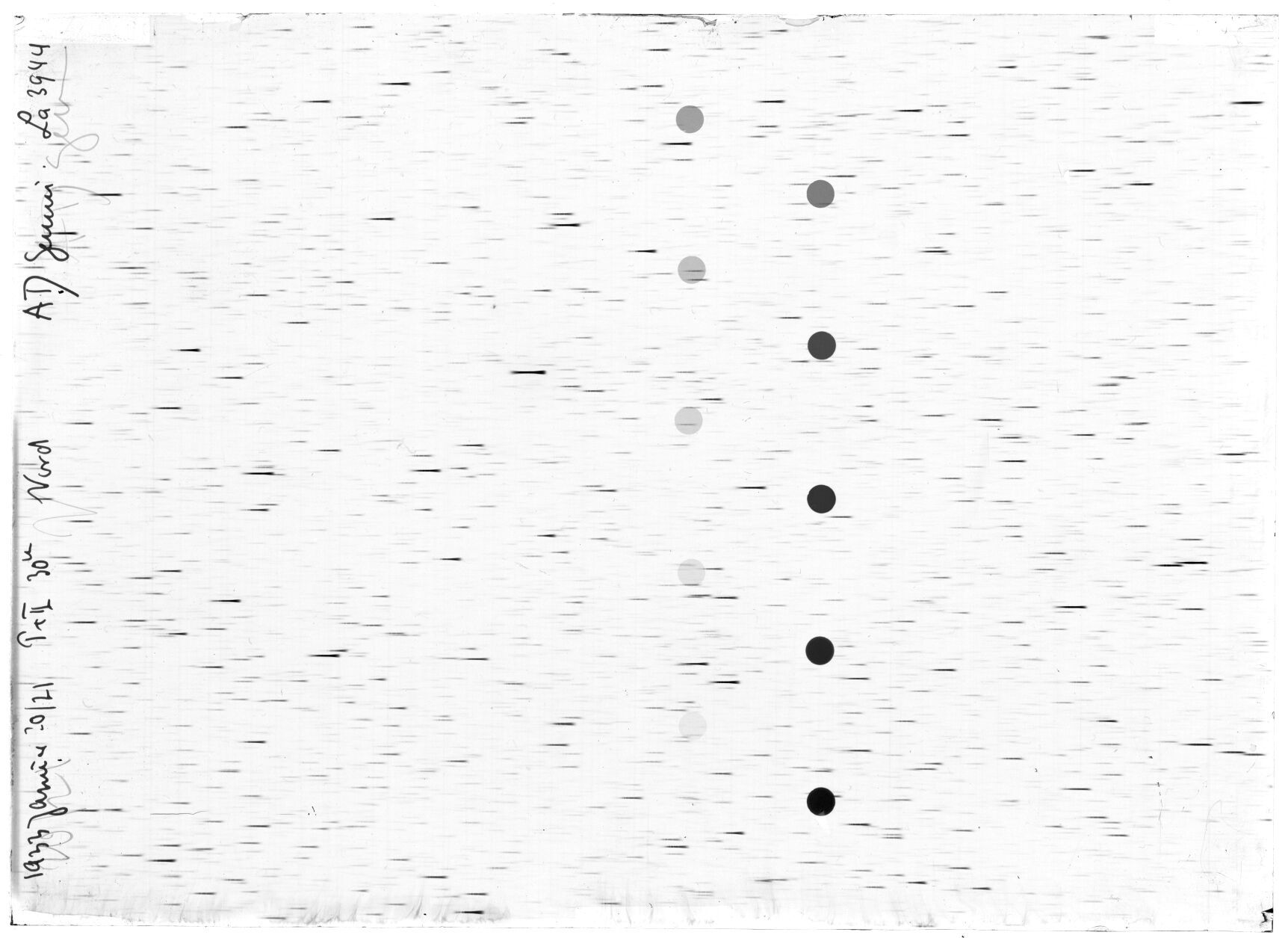 Scan LA03944