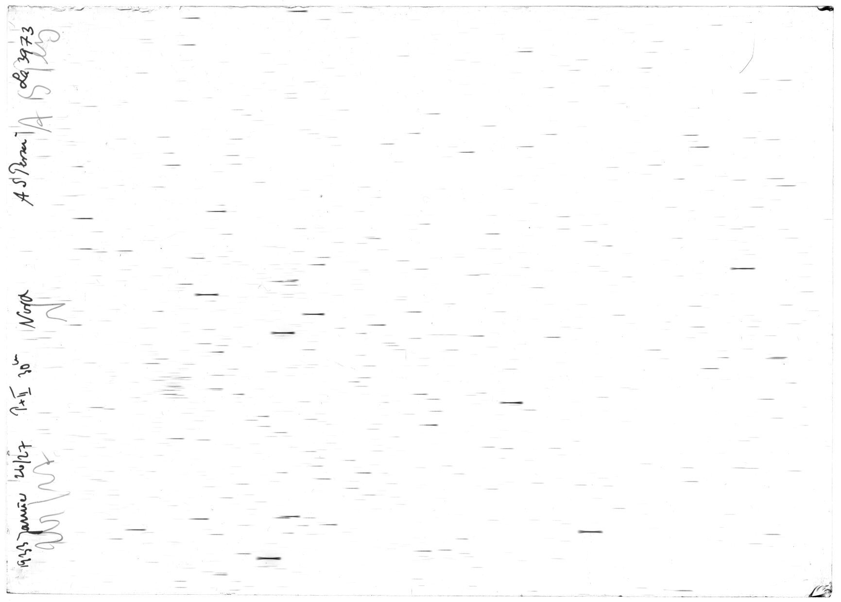 Scan LA03973