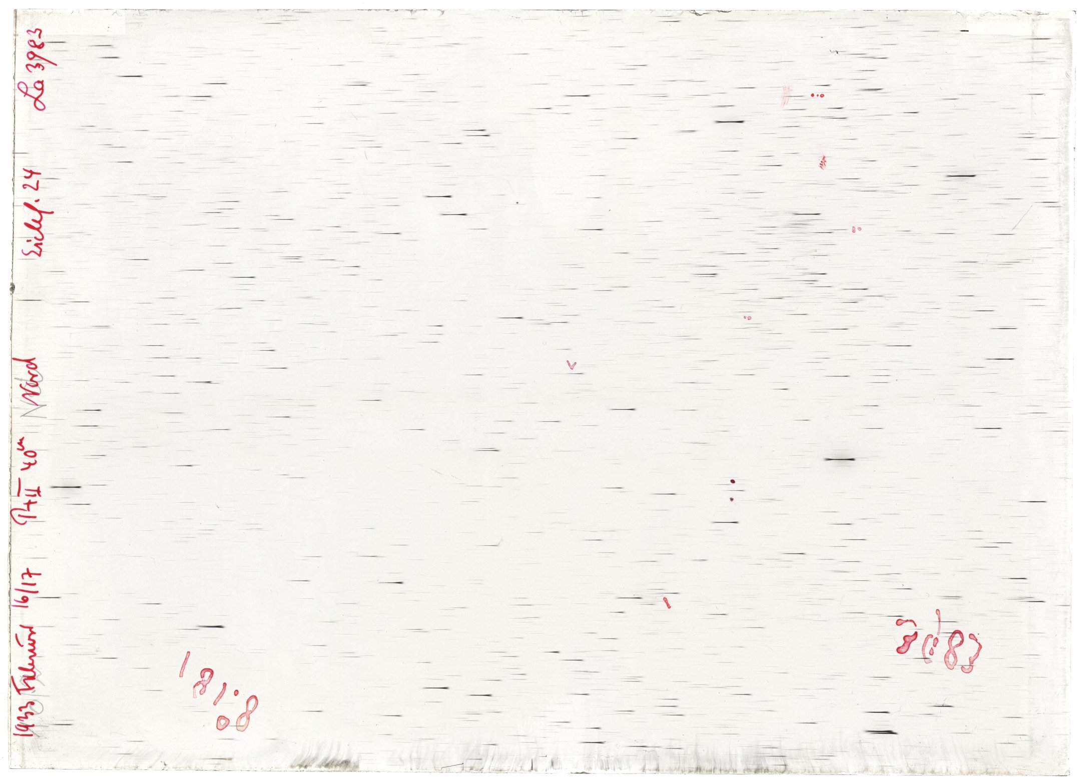 Scan LA03983
