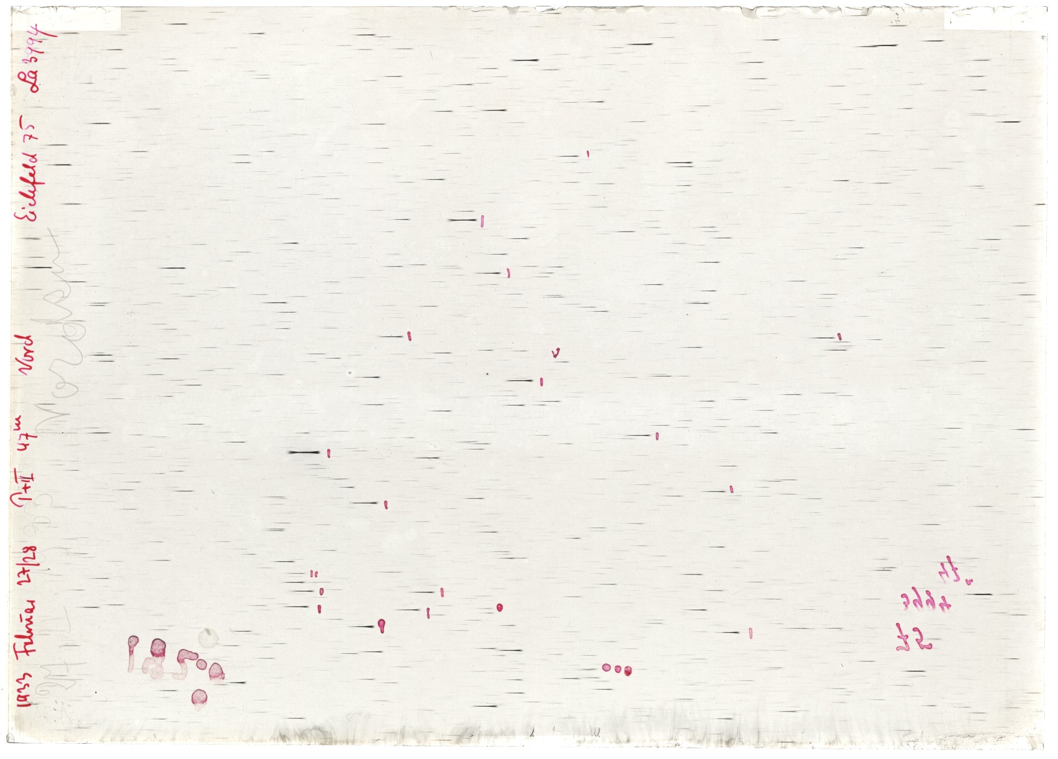 Scan LA03994