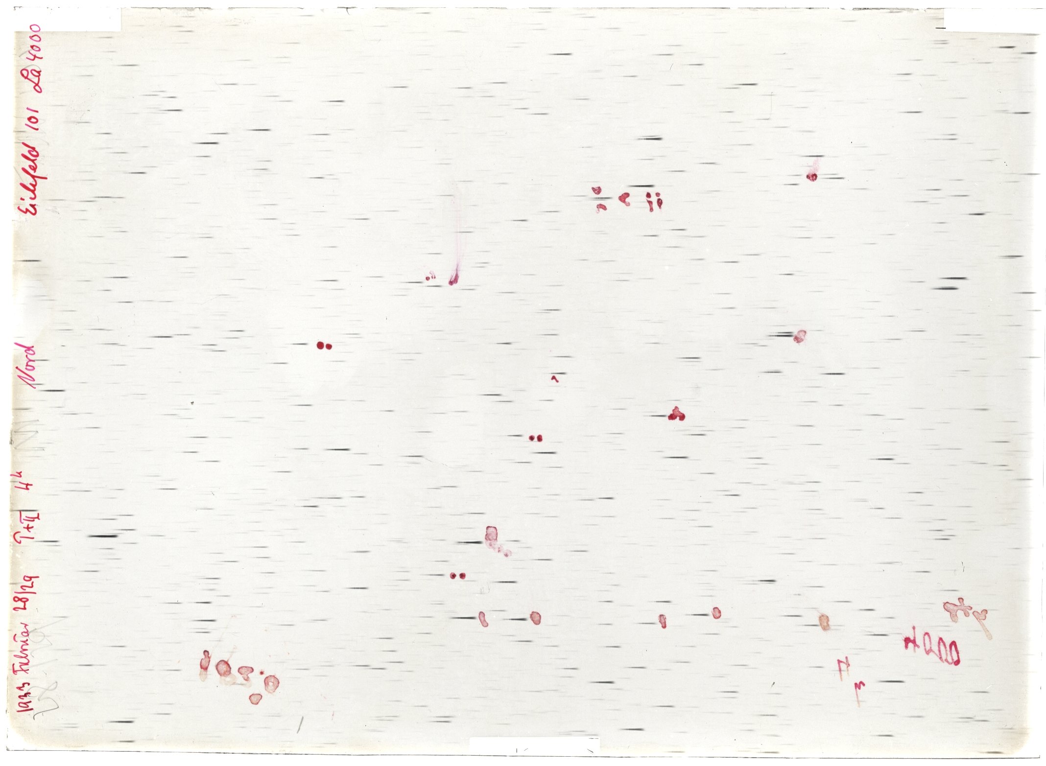 Scan LA04000