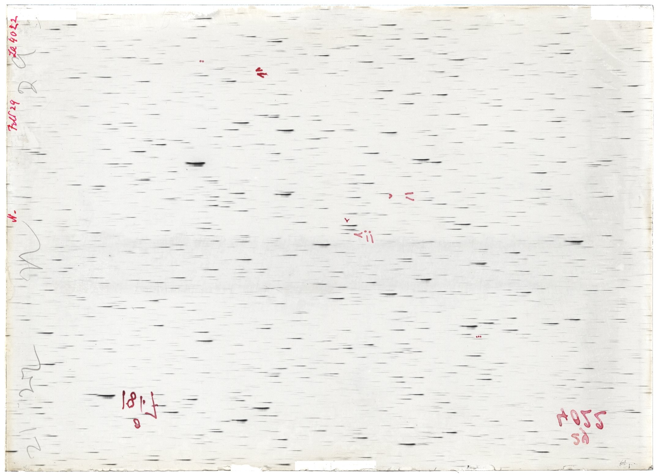 Scan LA04022