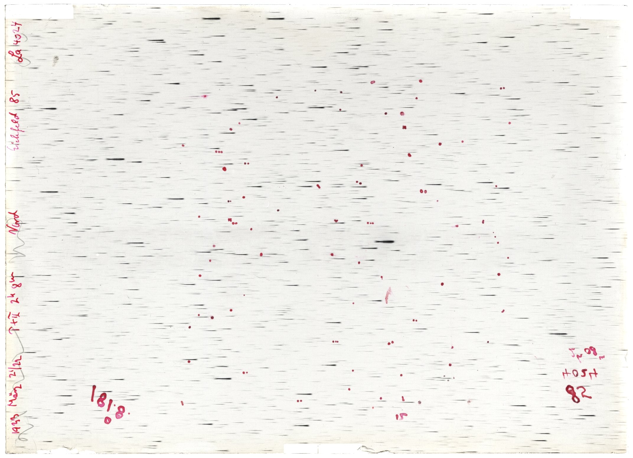 Scan LA04024