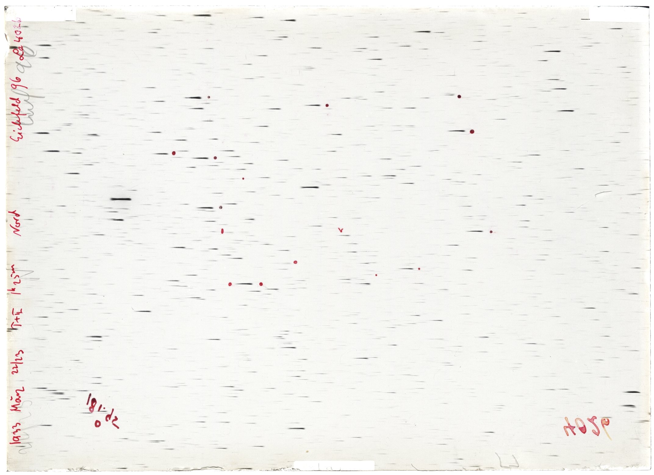 Scan LA04026