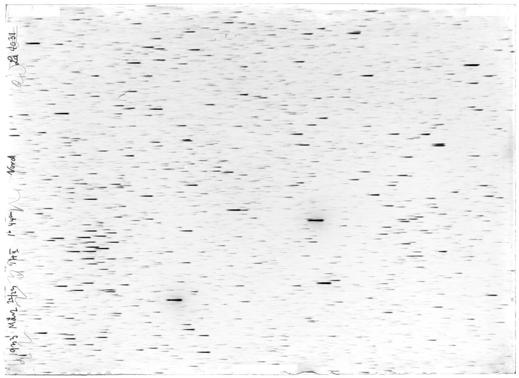 Scan LA04031