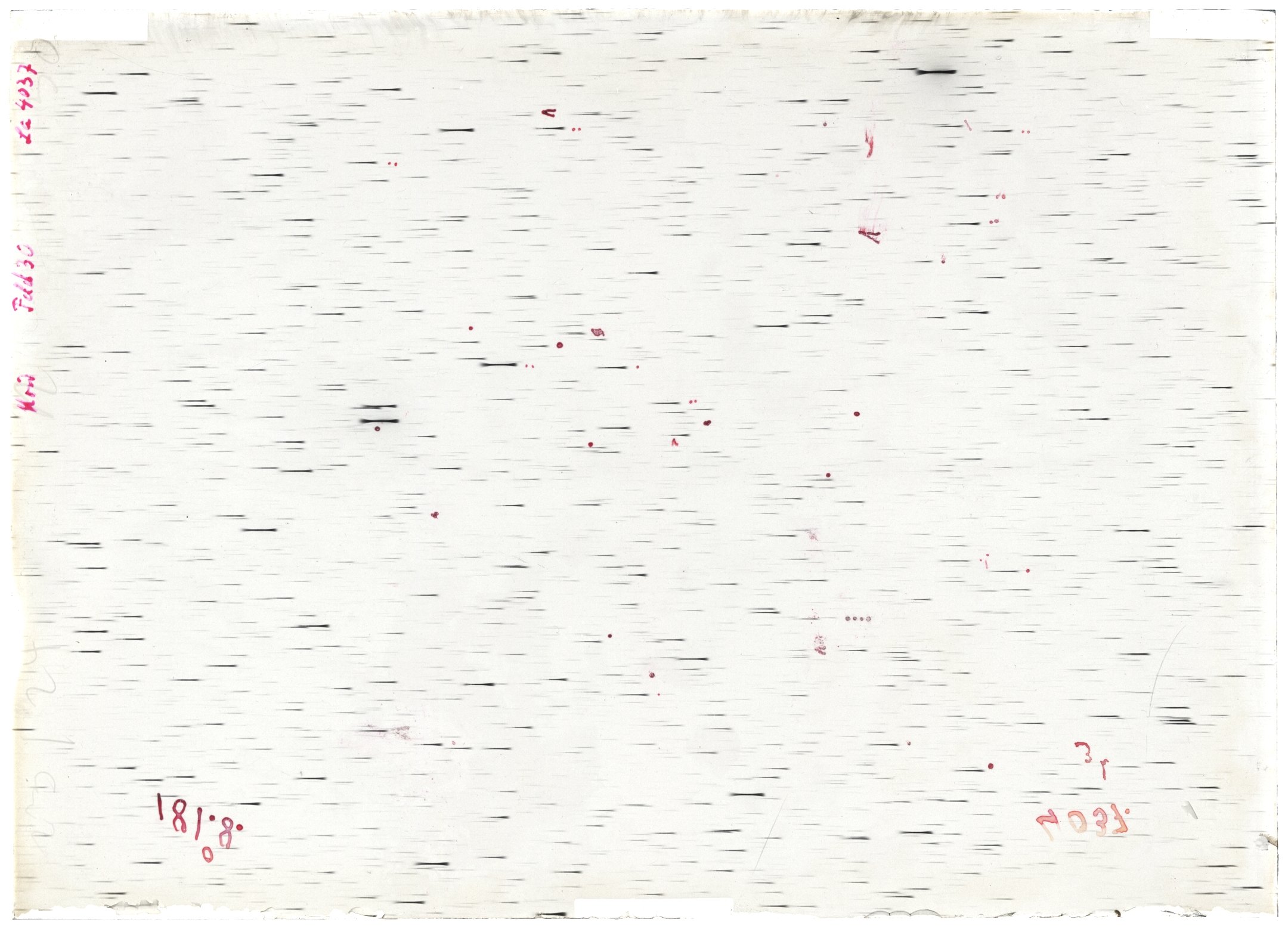 Scan LA04037