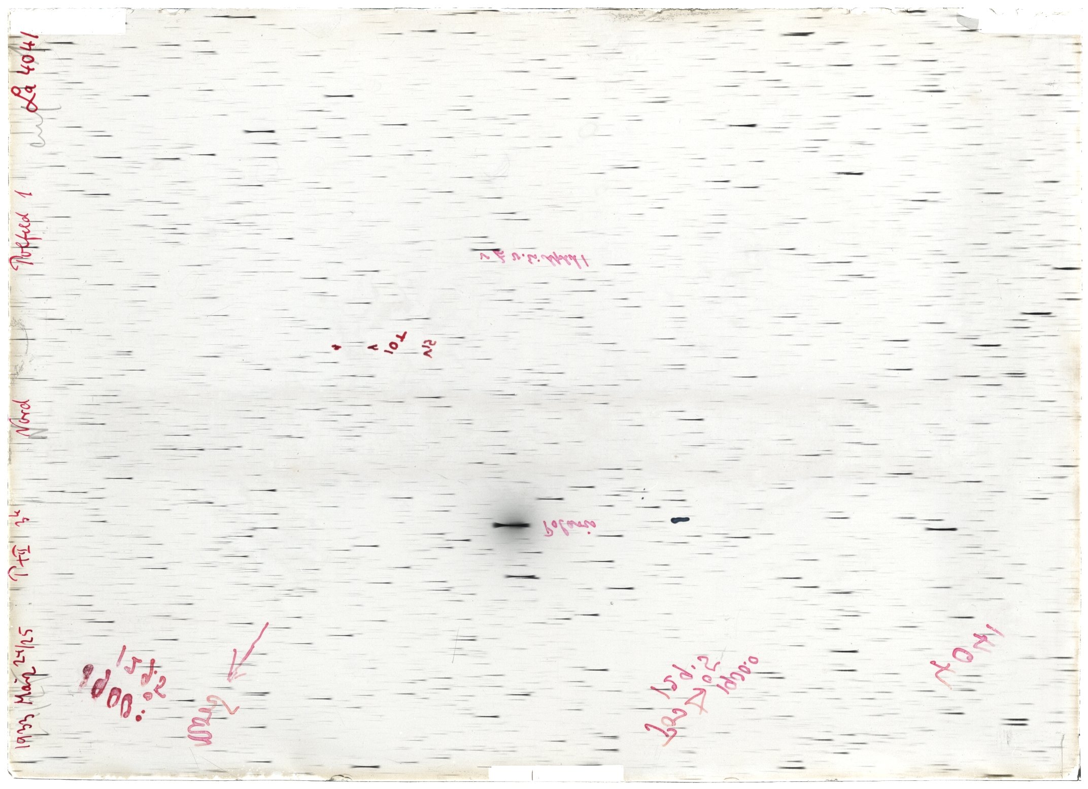 Scan LA04041