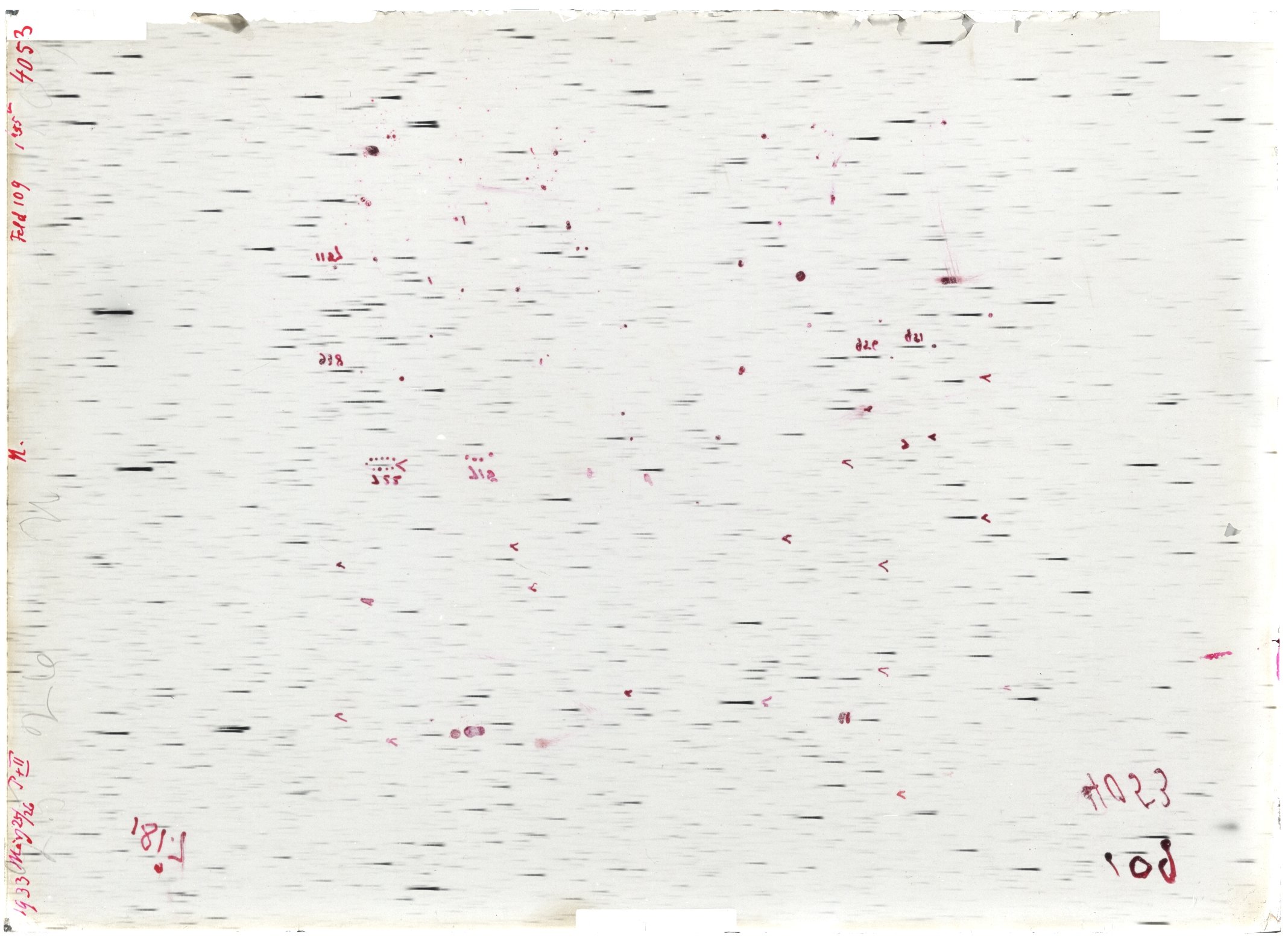 Scan LA04053
