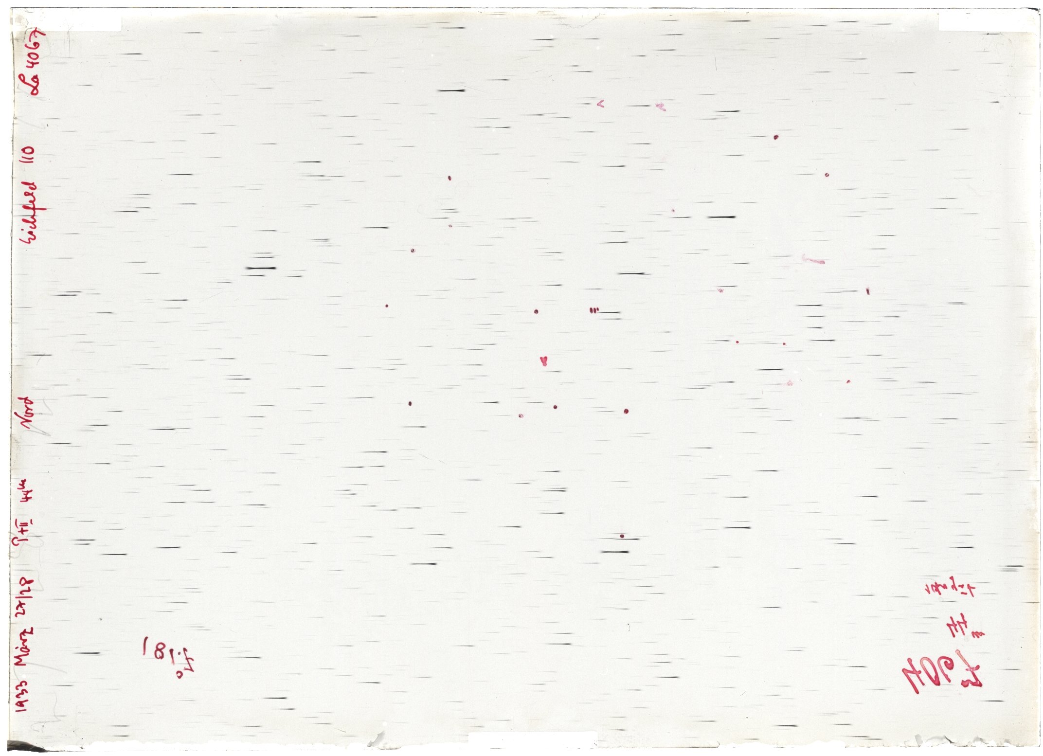 Scan LA04067