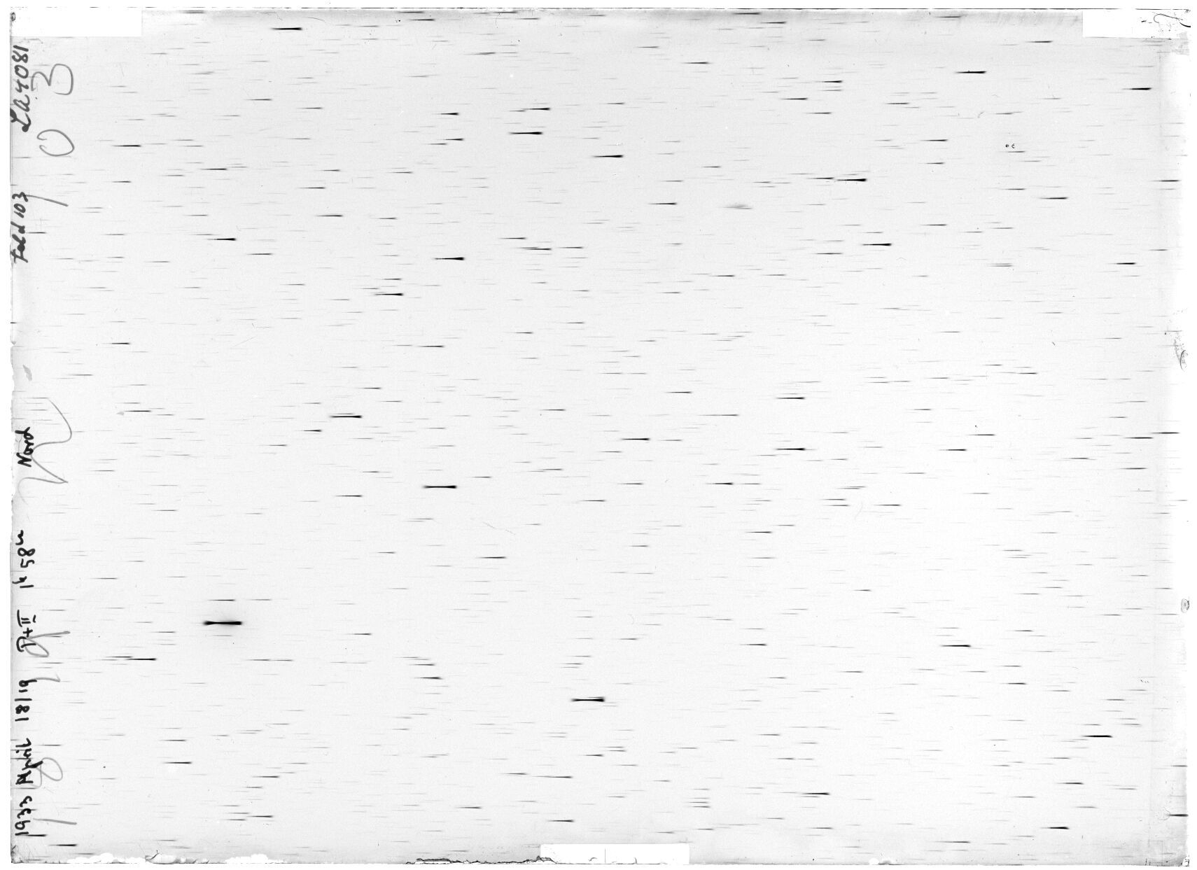 Scan LA04081
