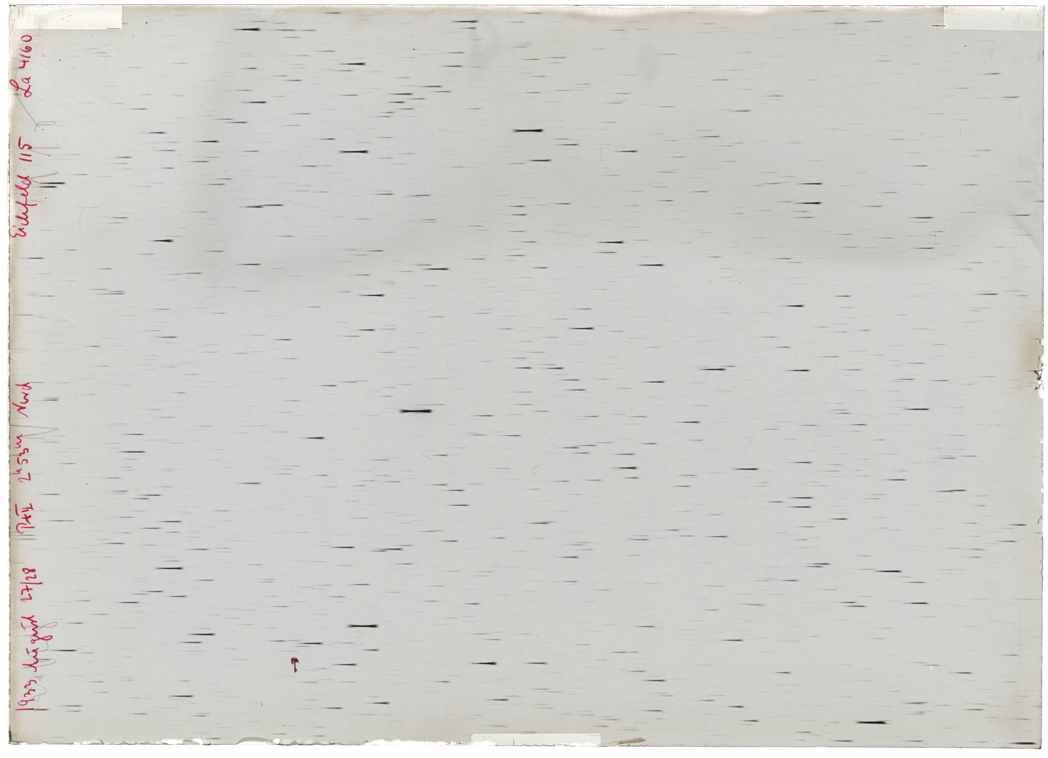 Scan LA04160