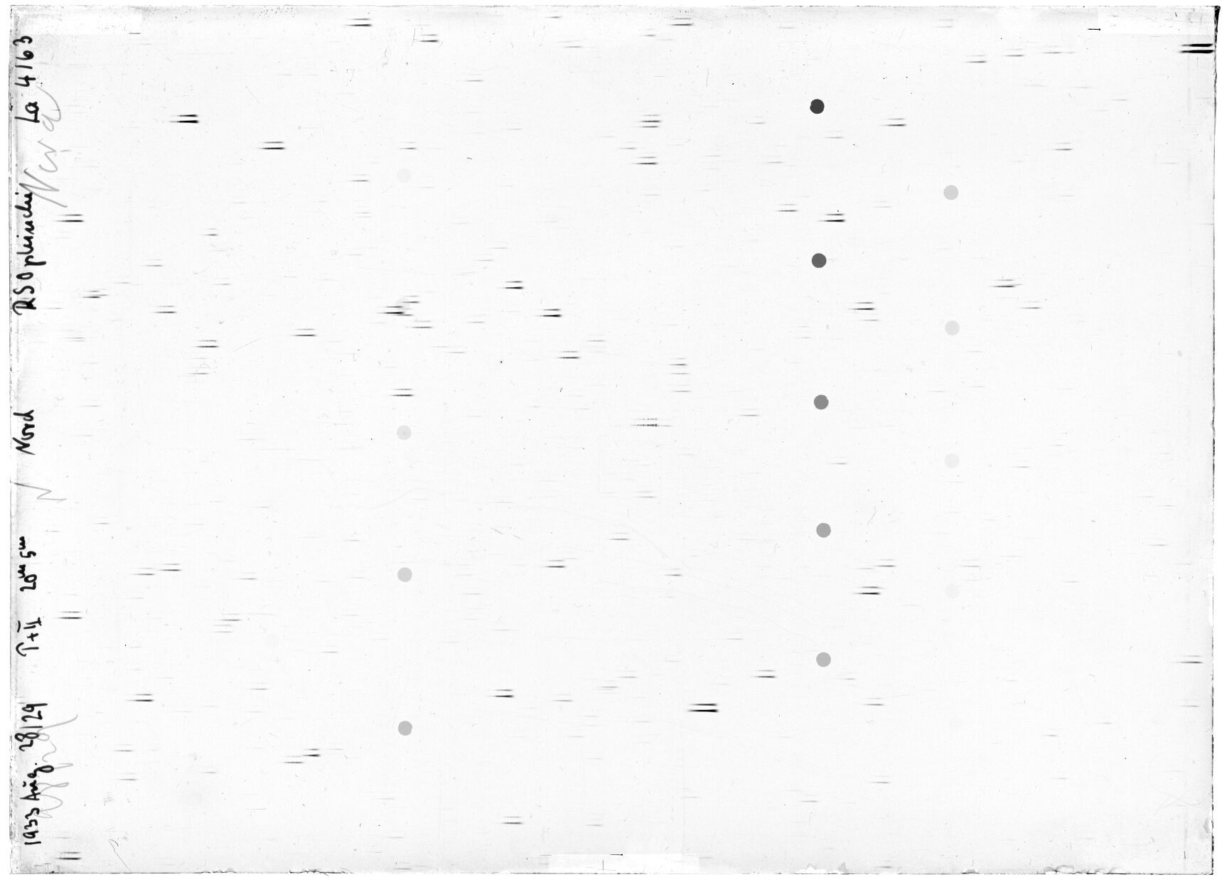 Scan LA04163