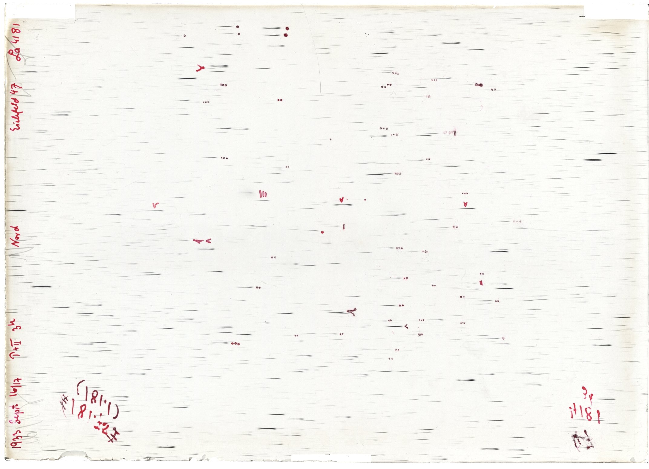 Scan LA04181