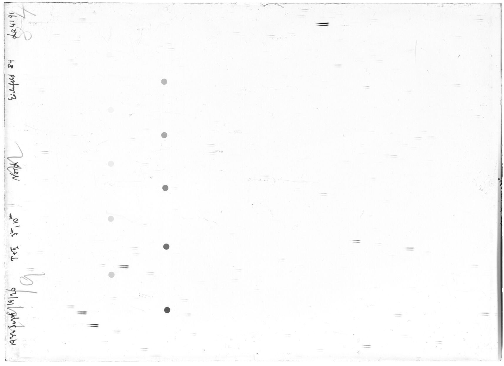 Scan LA04191
