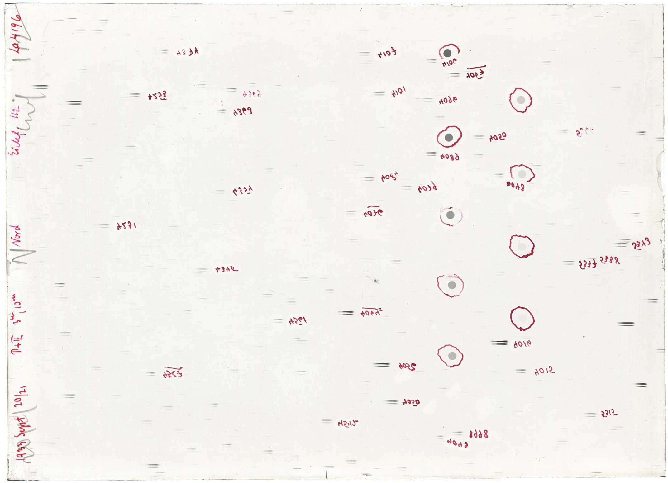 Scan LA04196