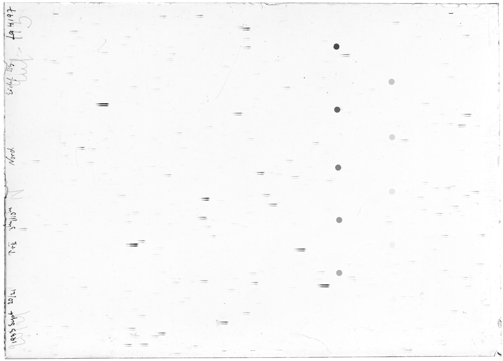 Scan LA04197