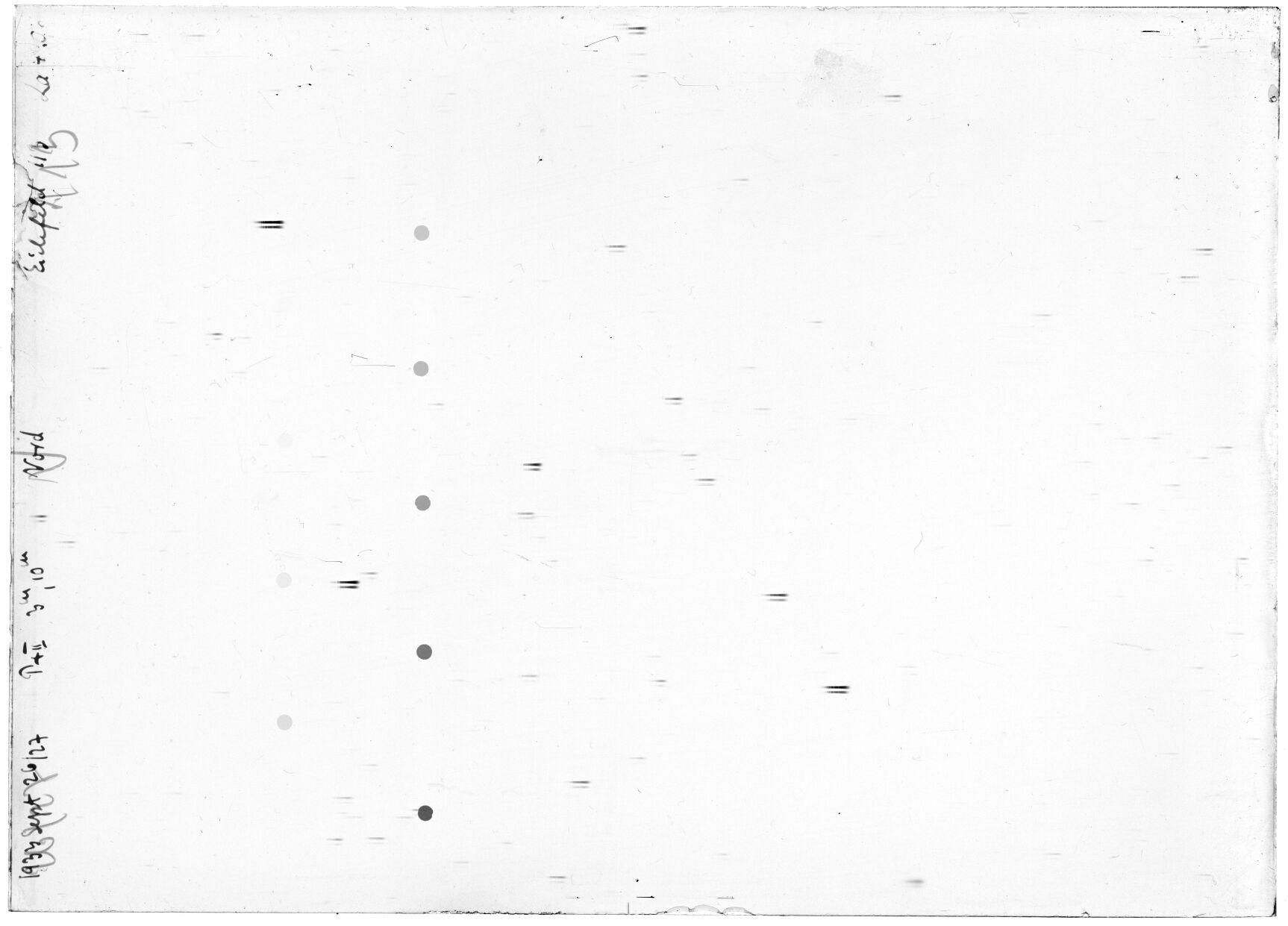 Scan LA04206