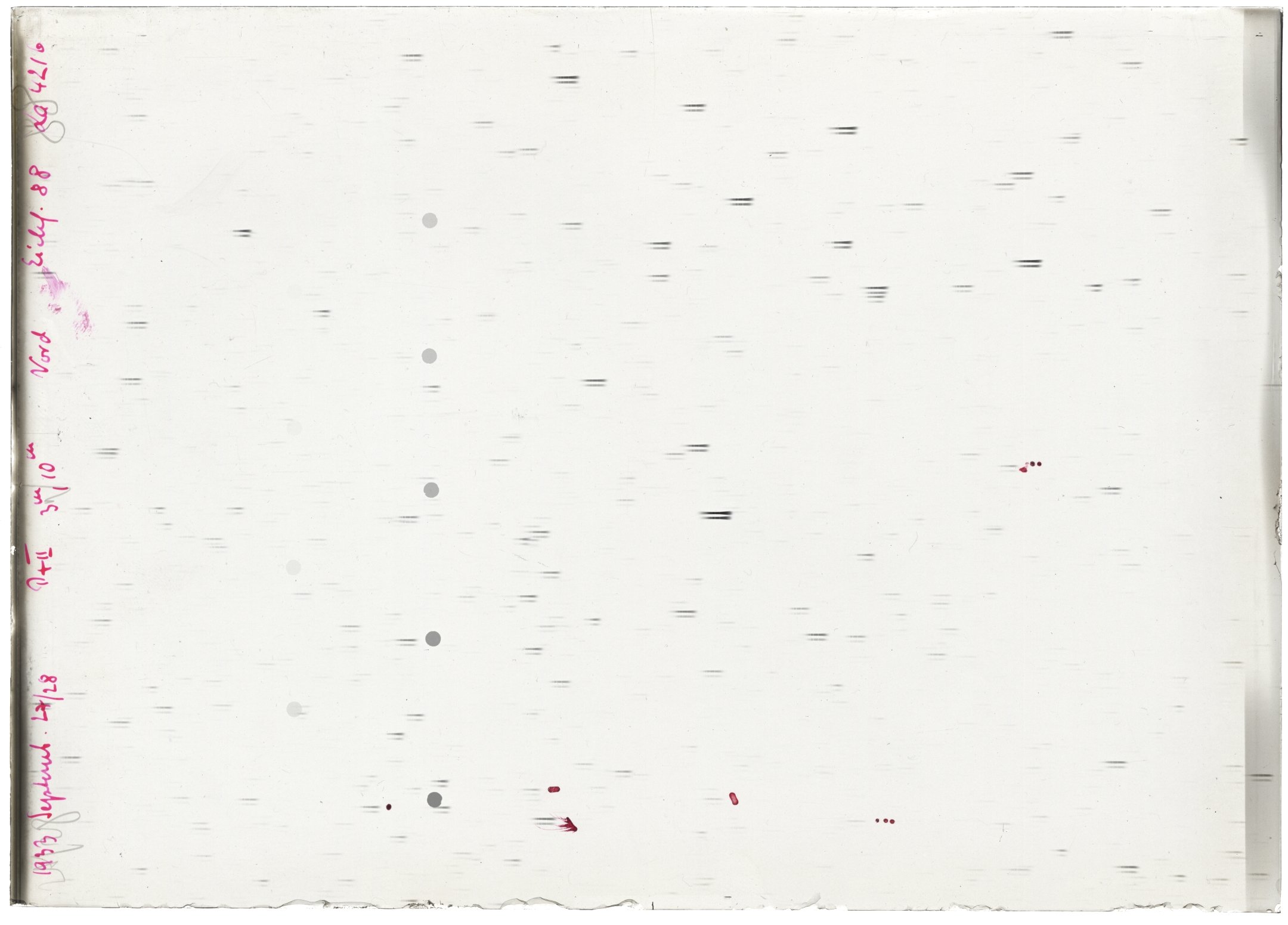 Scan LA04216