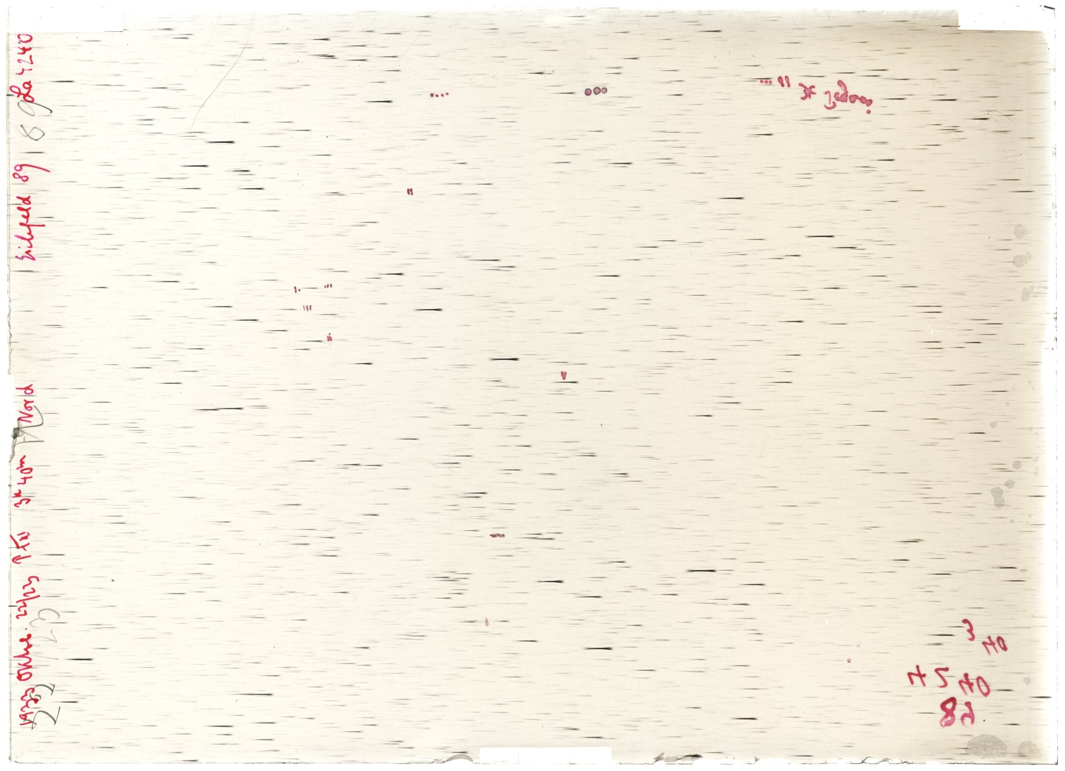 Scan LA04240