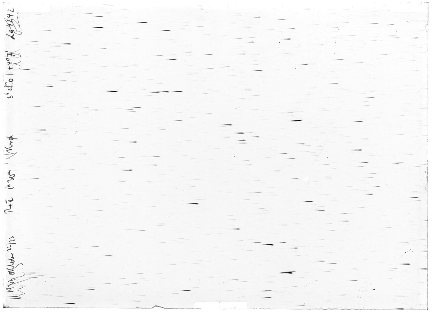 Scan LA04242