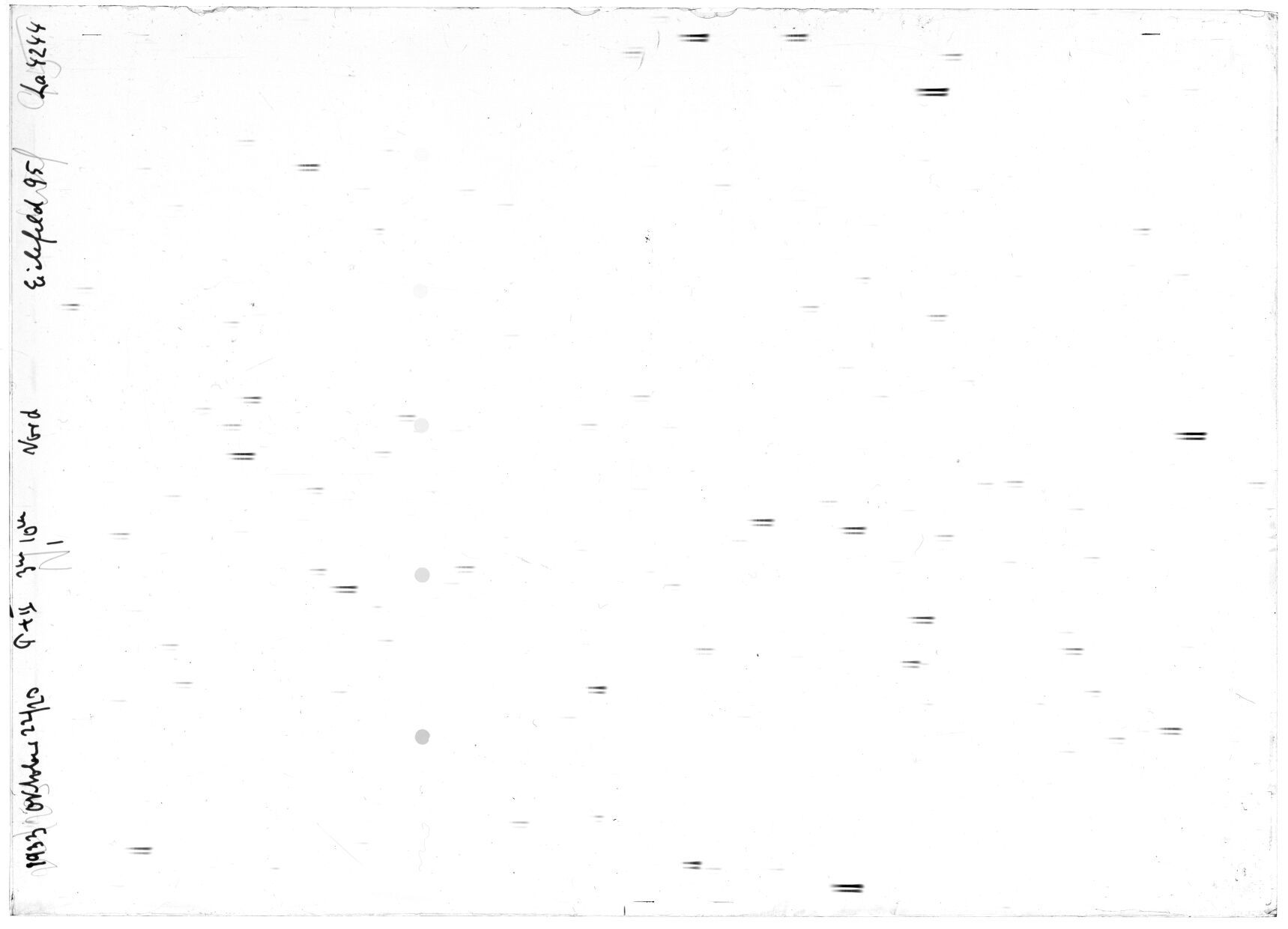Scan LA04244