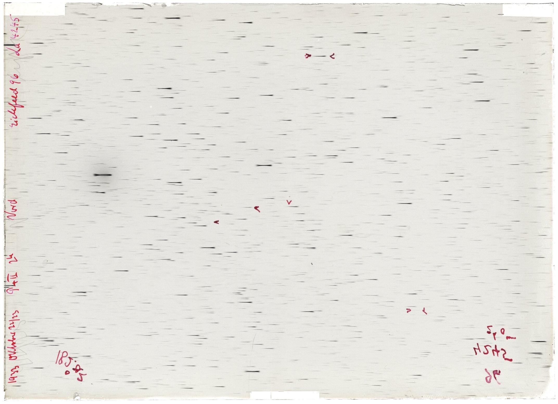 Scan LA04245