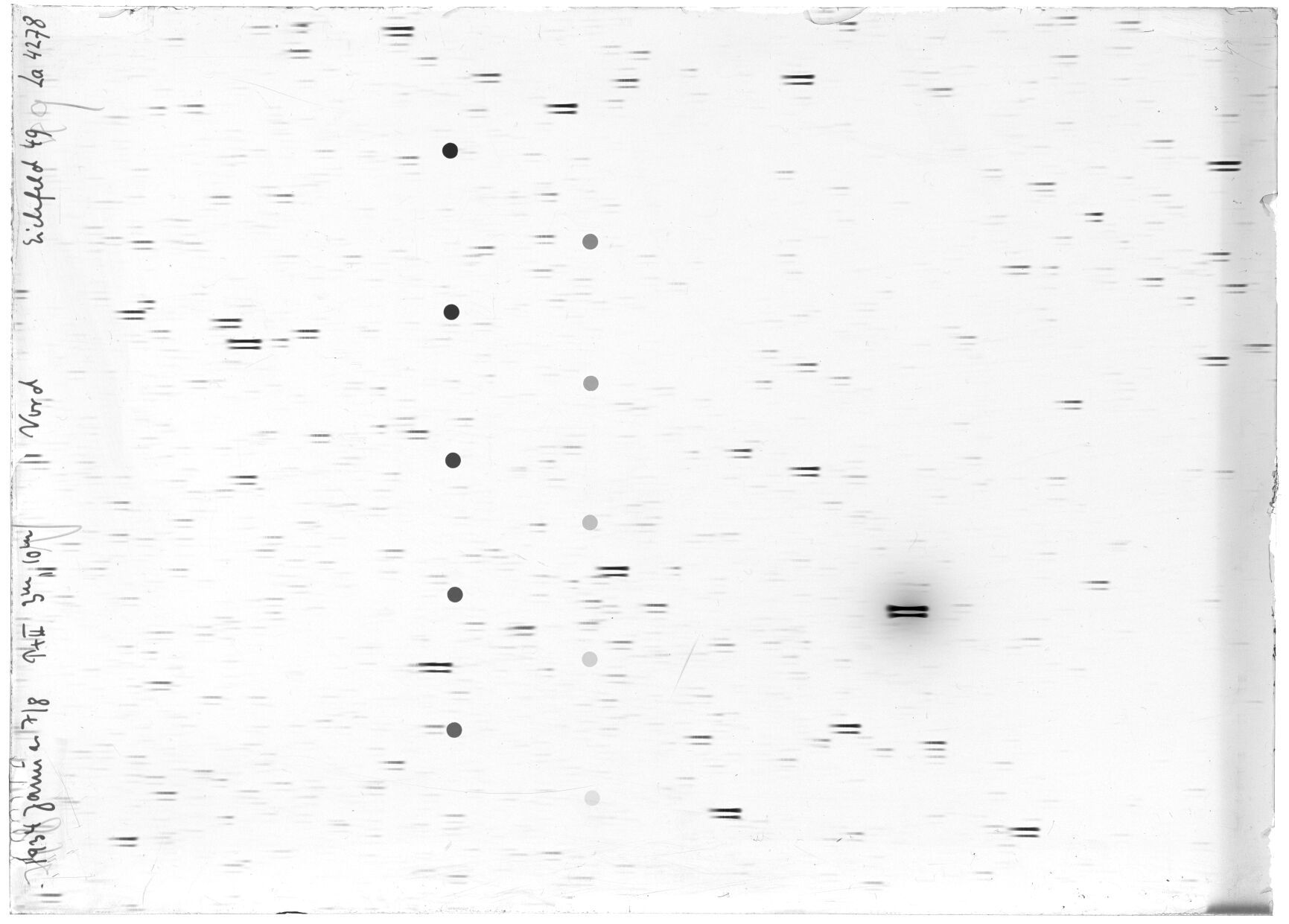 Scan LA04278