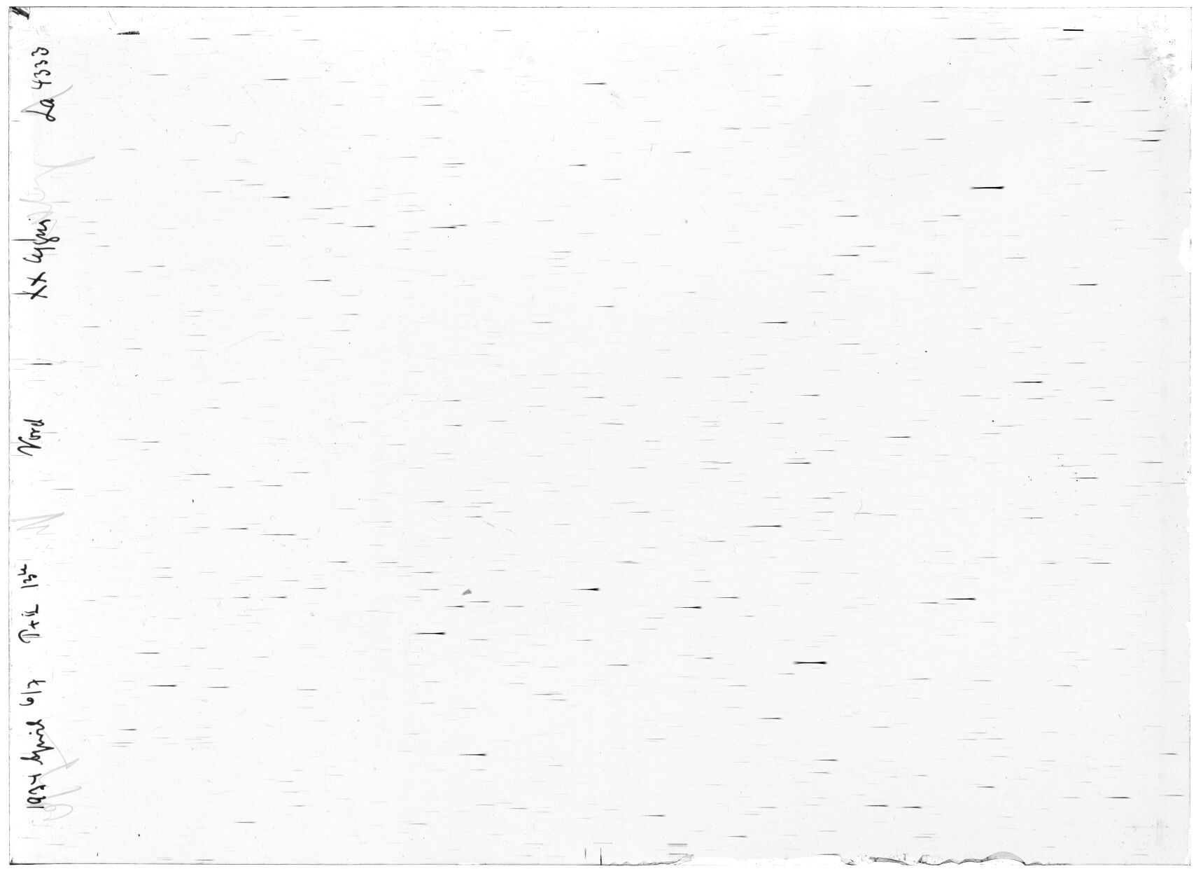 Scan LA04333